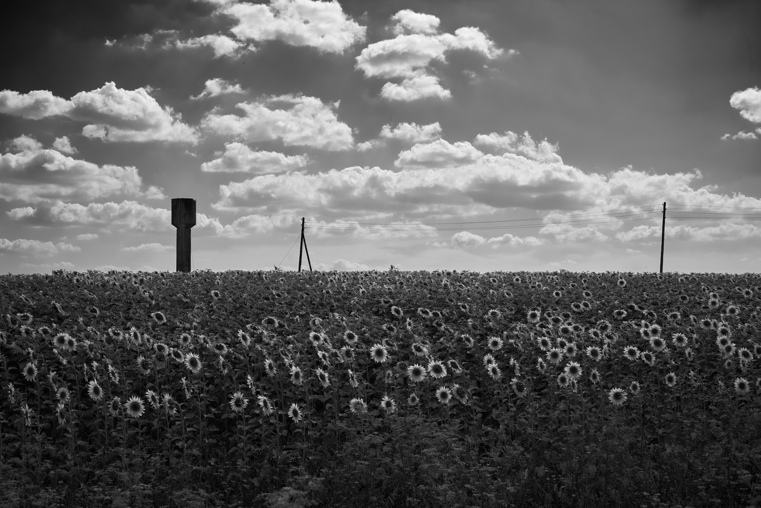 RUSSIA. Daniil Khaitseer photography