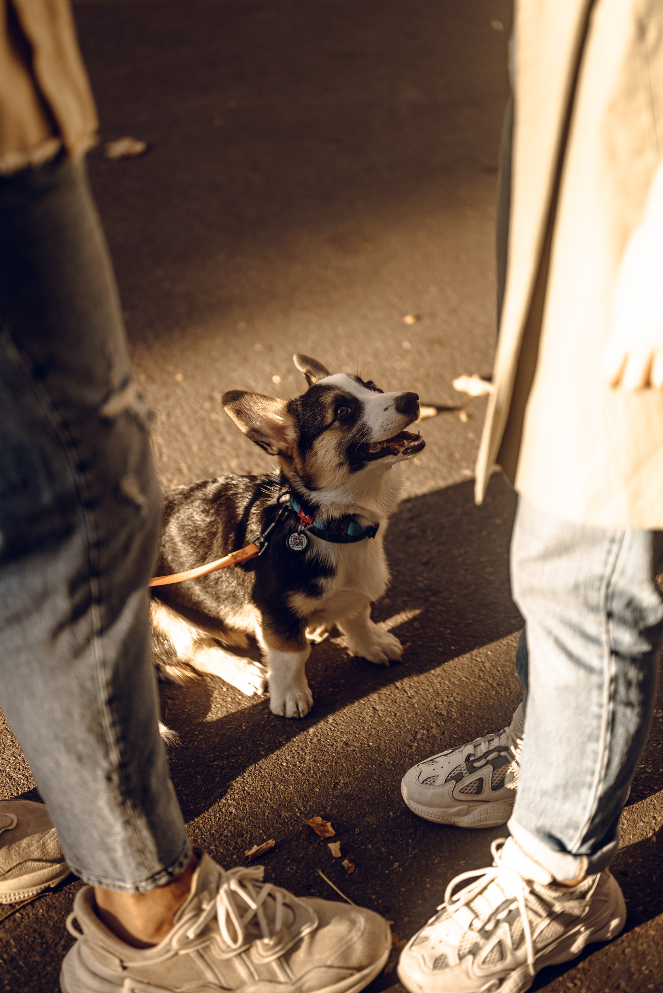 Анна, Назар и Морти. Фотограф Ирина Новикова