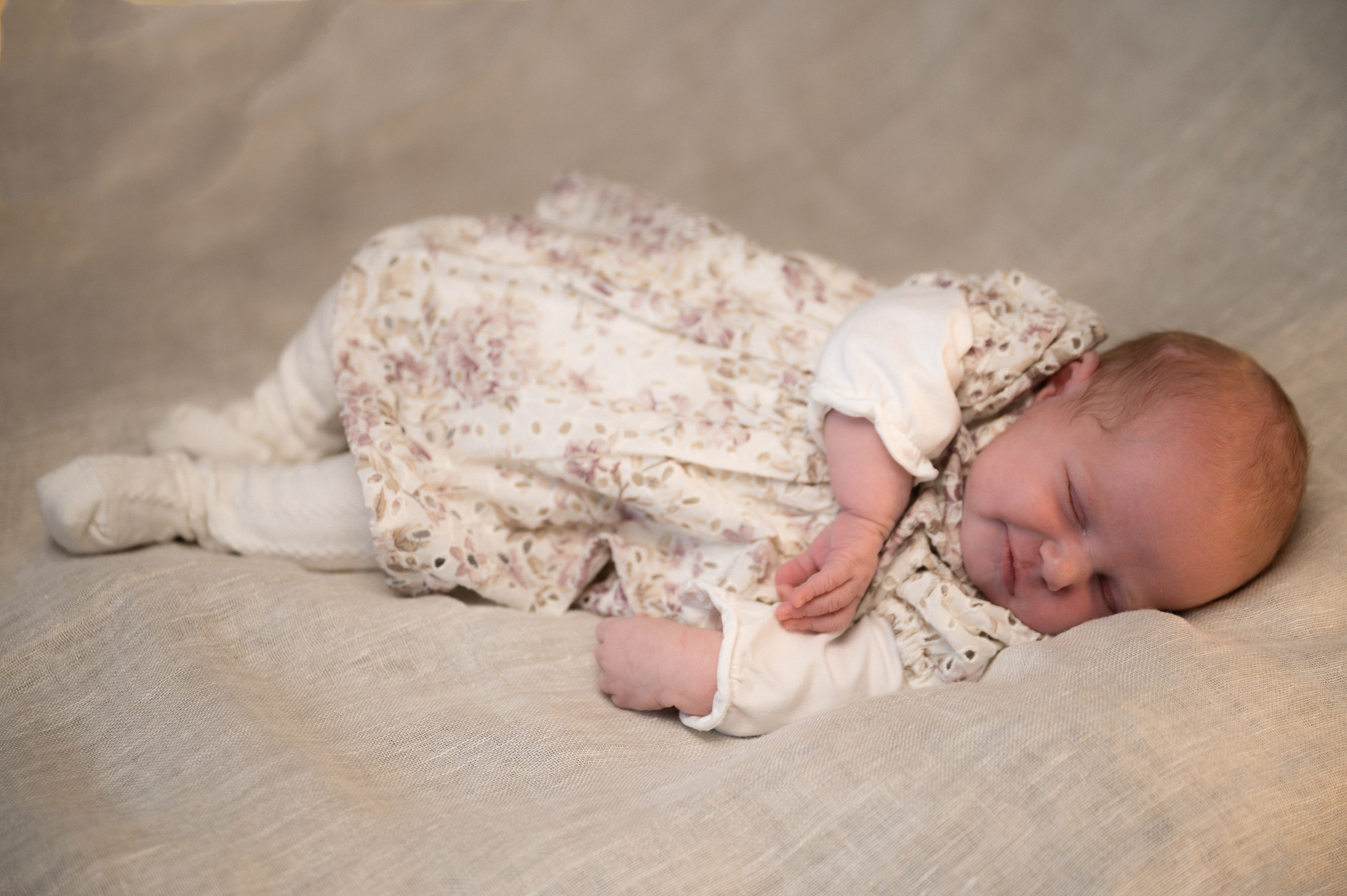 Barn- og familiefotografering. Din fotograf i Narvik kommune