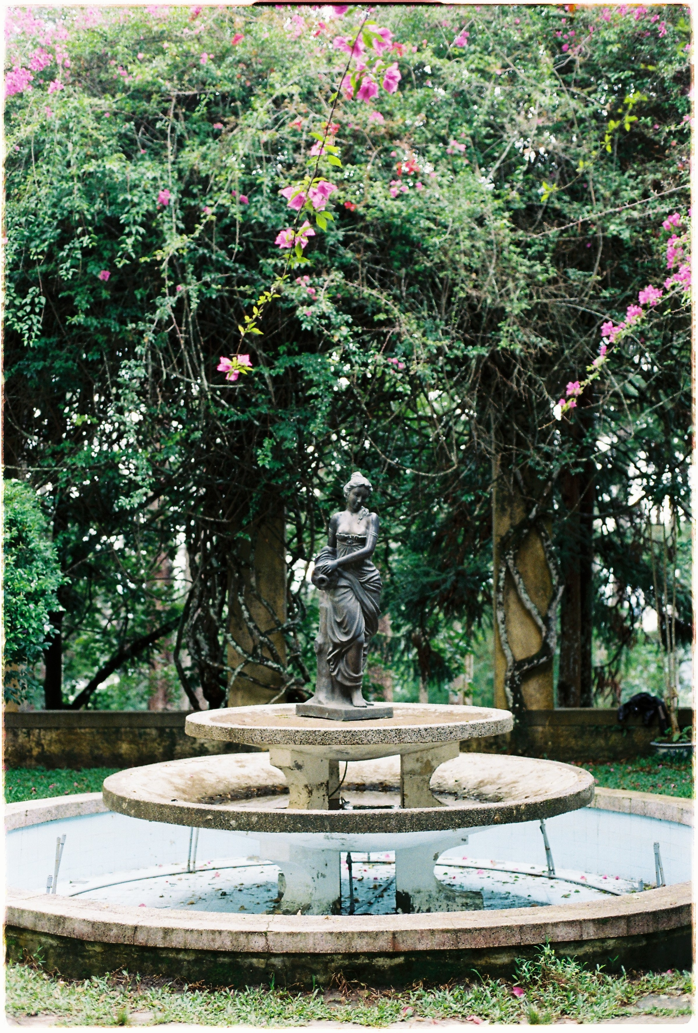 THANG & YEN | KODAK ULTRAMAX400. WEDDING PHOTOGRAPHER IN VIETNAM