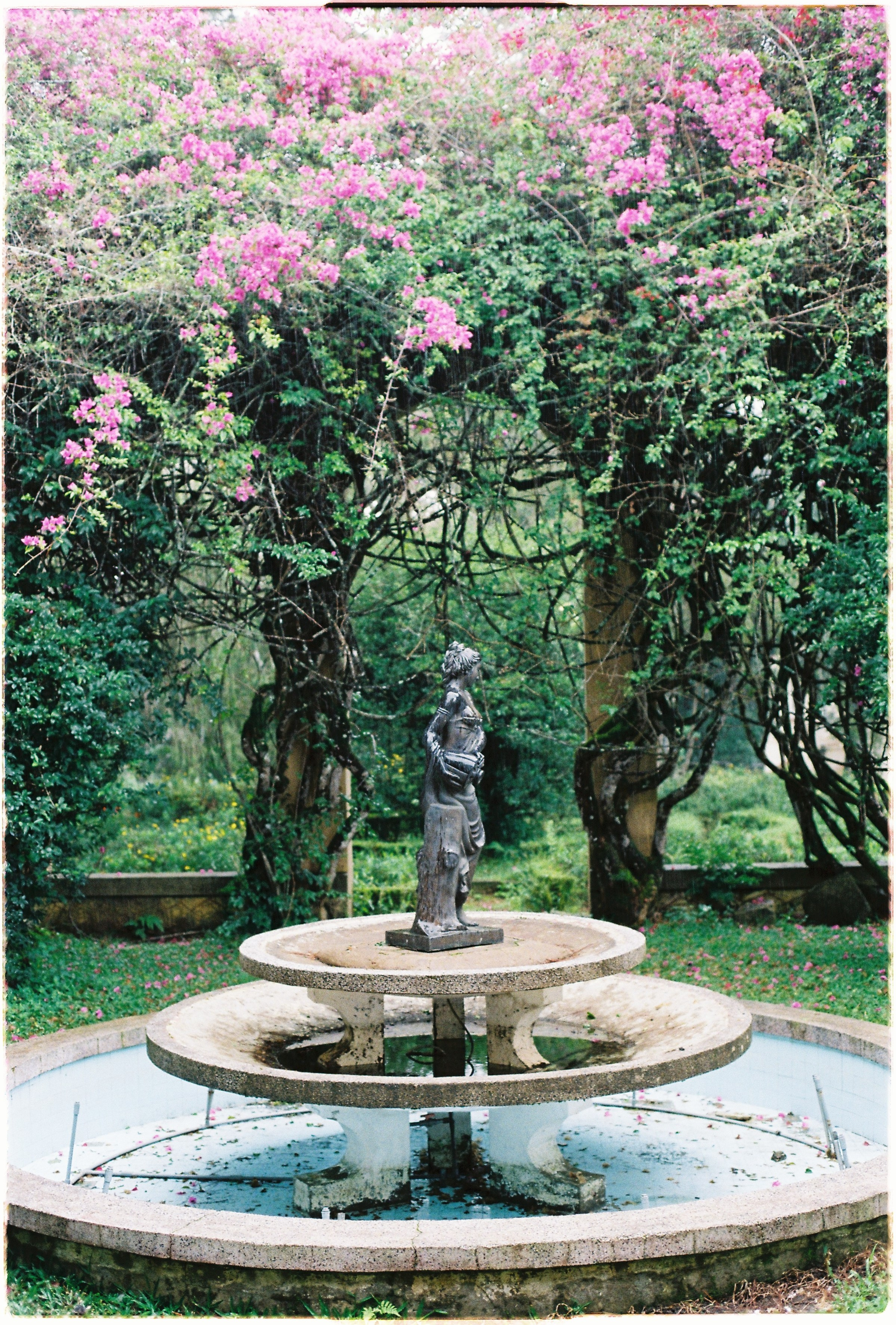 THANG & YEN | KODAK ULTRAMAX400. WEDDING PHOTOGRAPHER IN VIETNAM