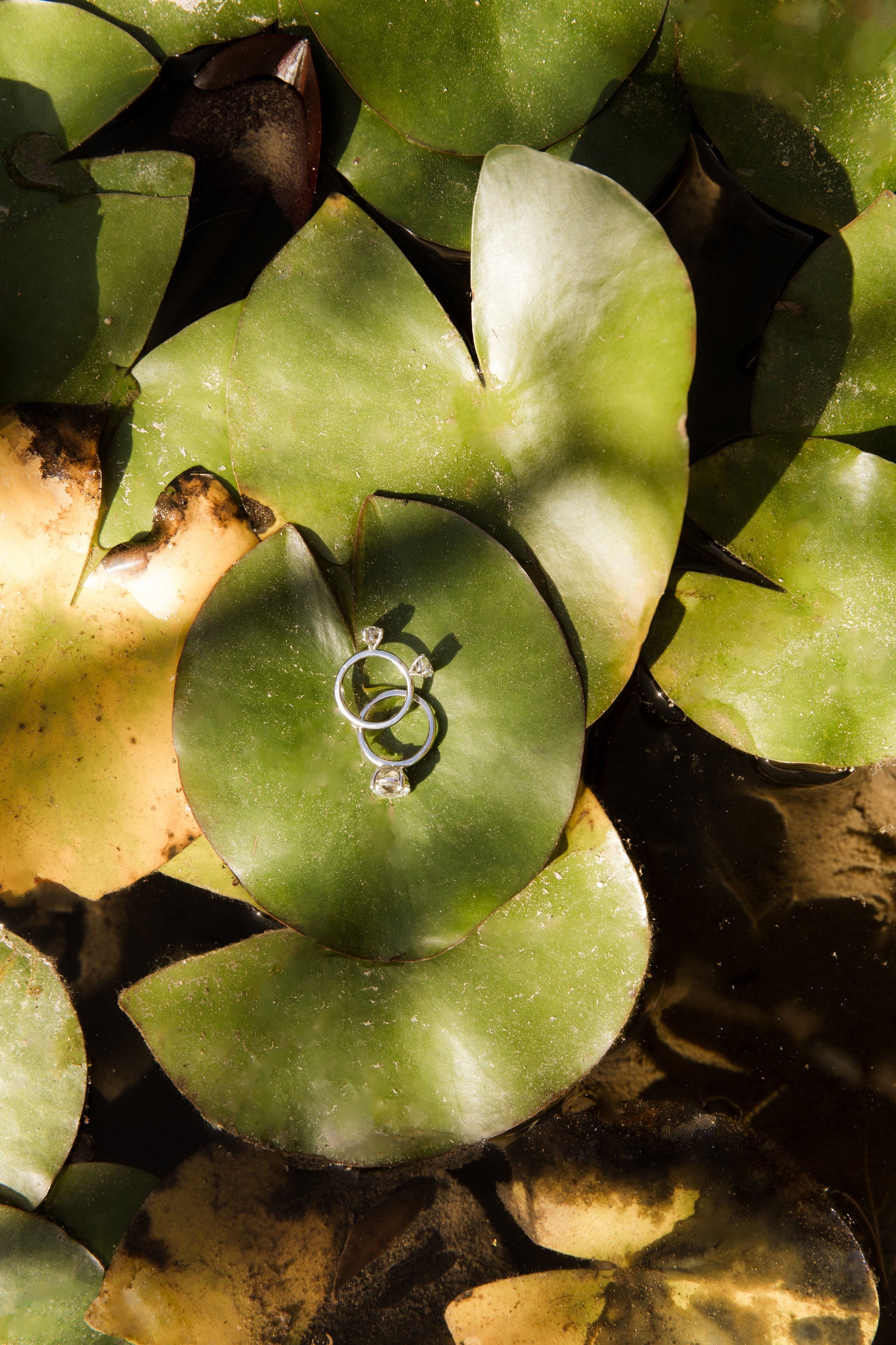 PJ & Yonna. Hotel Castell d’Emporda. Paola fotógrafo / videografo de bodas en Barcelona