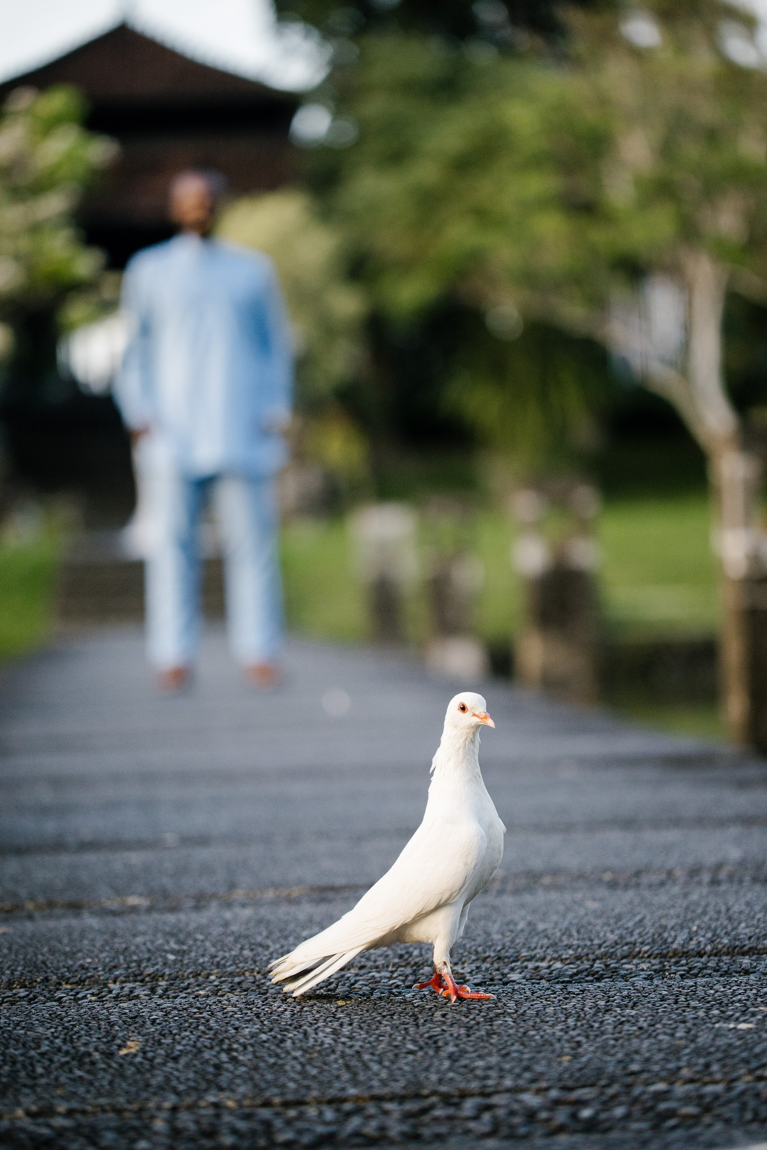 Kamau & Siobhan. Get.it.feel — Aesthetic Photography and Videography