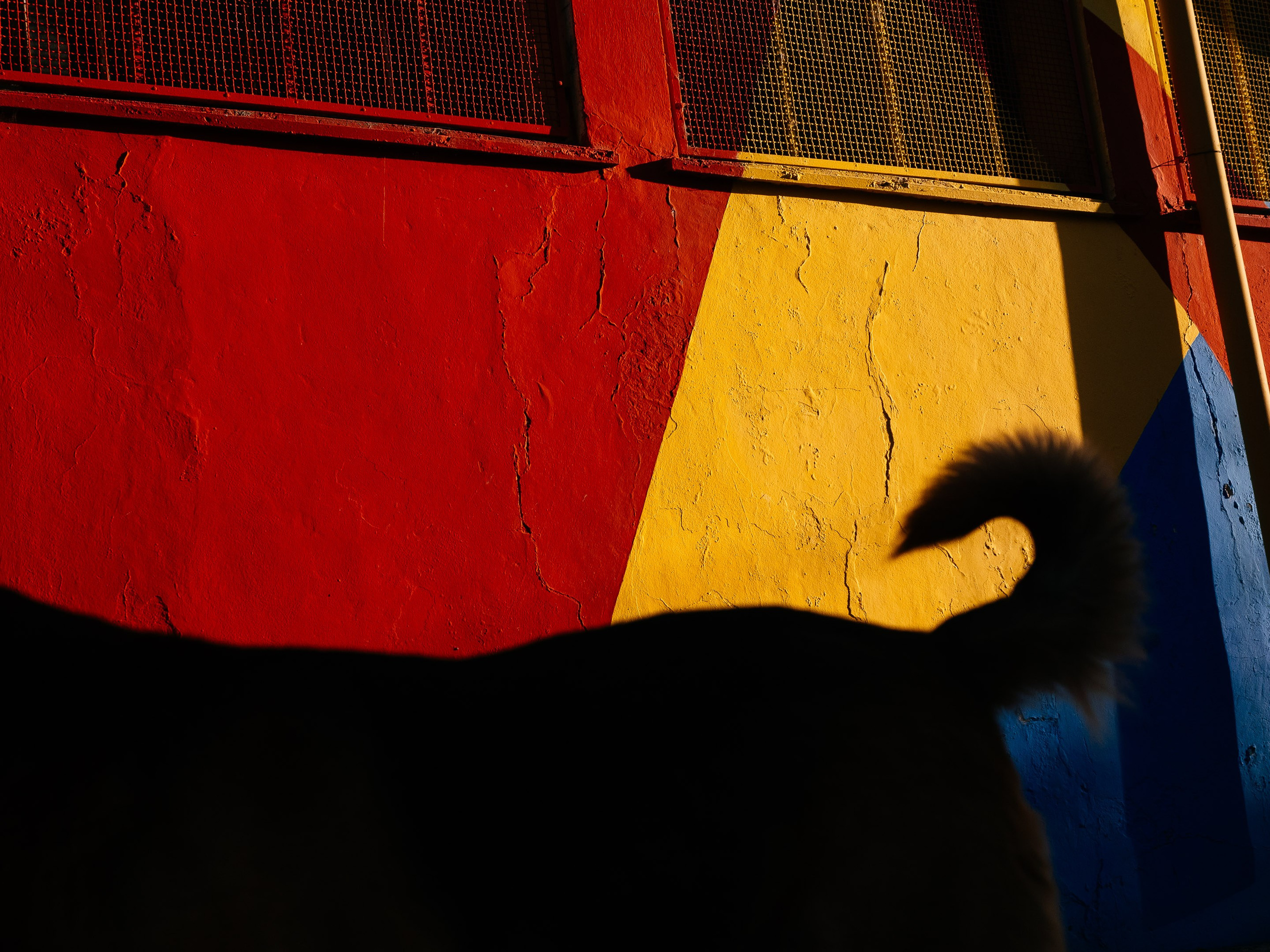 La Boca neighborhood, Buenos Aires, Argentina. Federico Borobio, street and documentary photography.