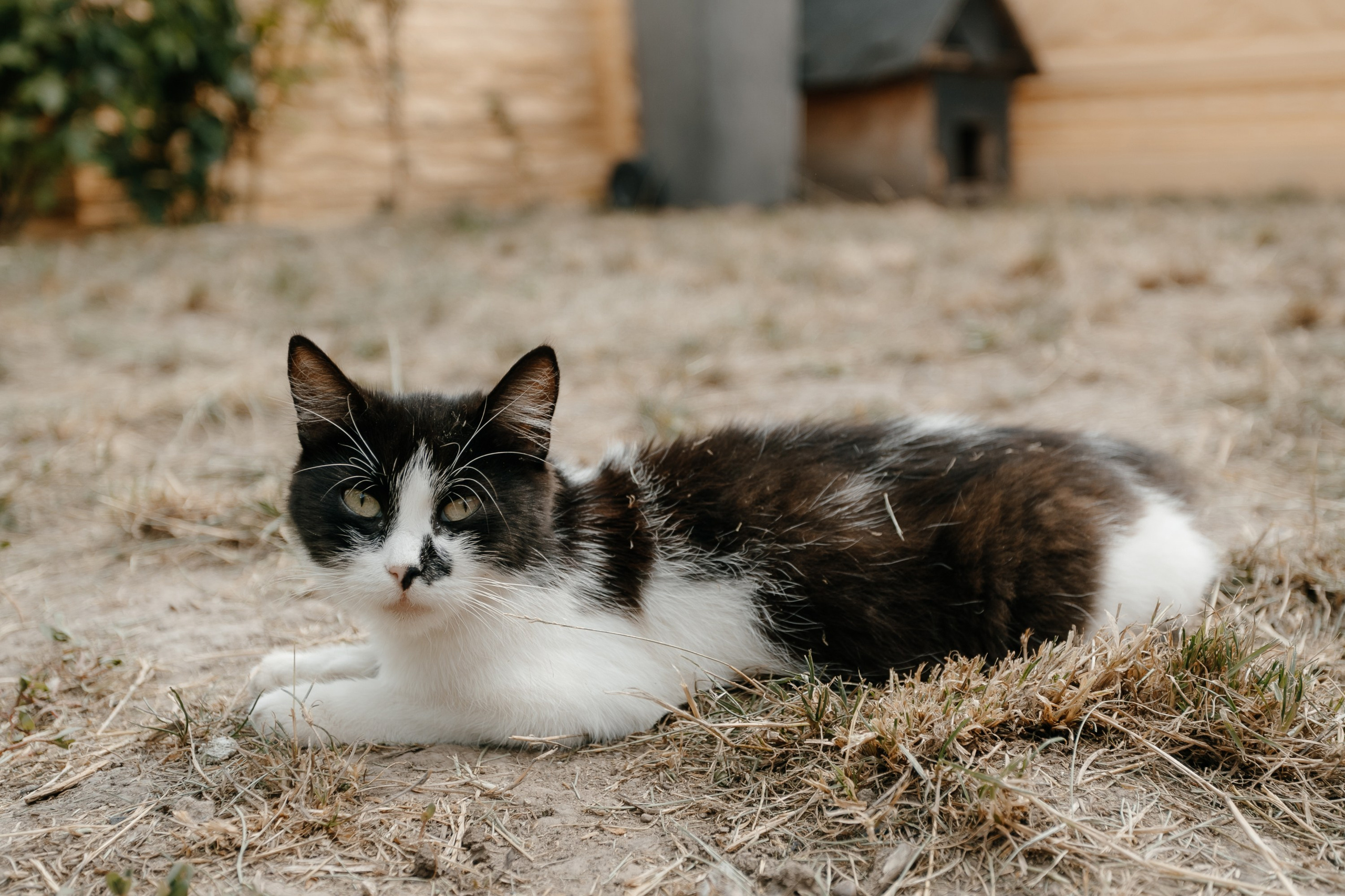 Constantin&olga 12.08.2023. Фотограф в Кишинёве