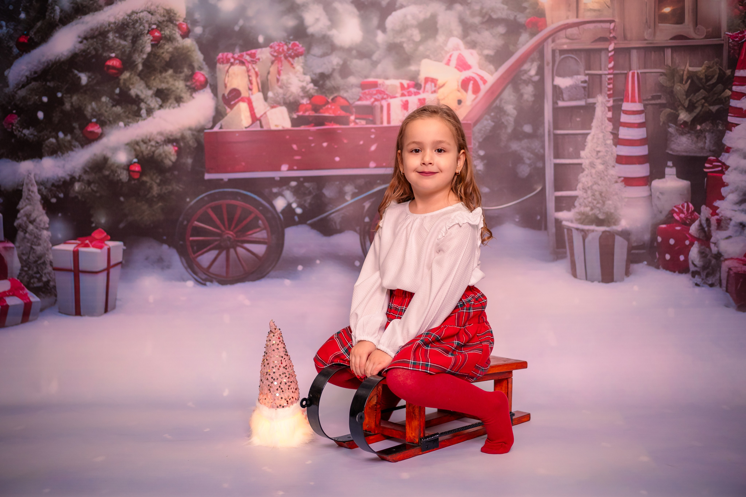 Școli și Grădinițe