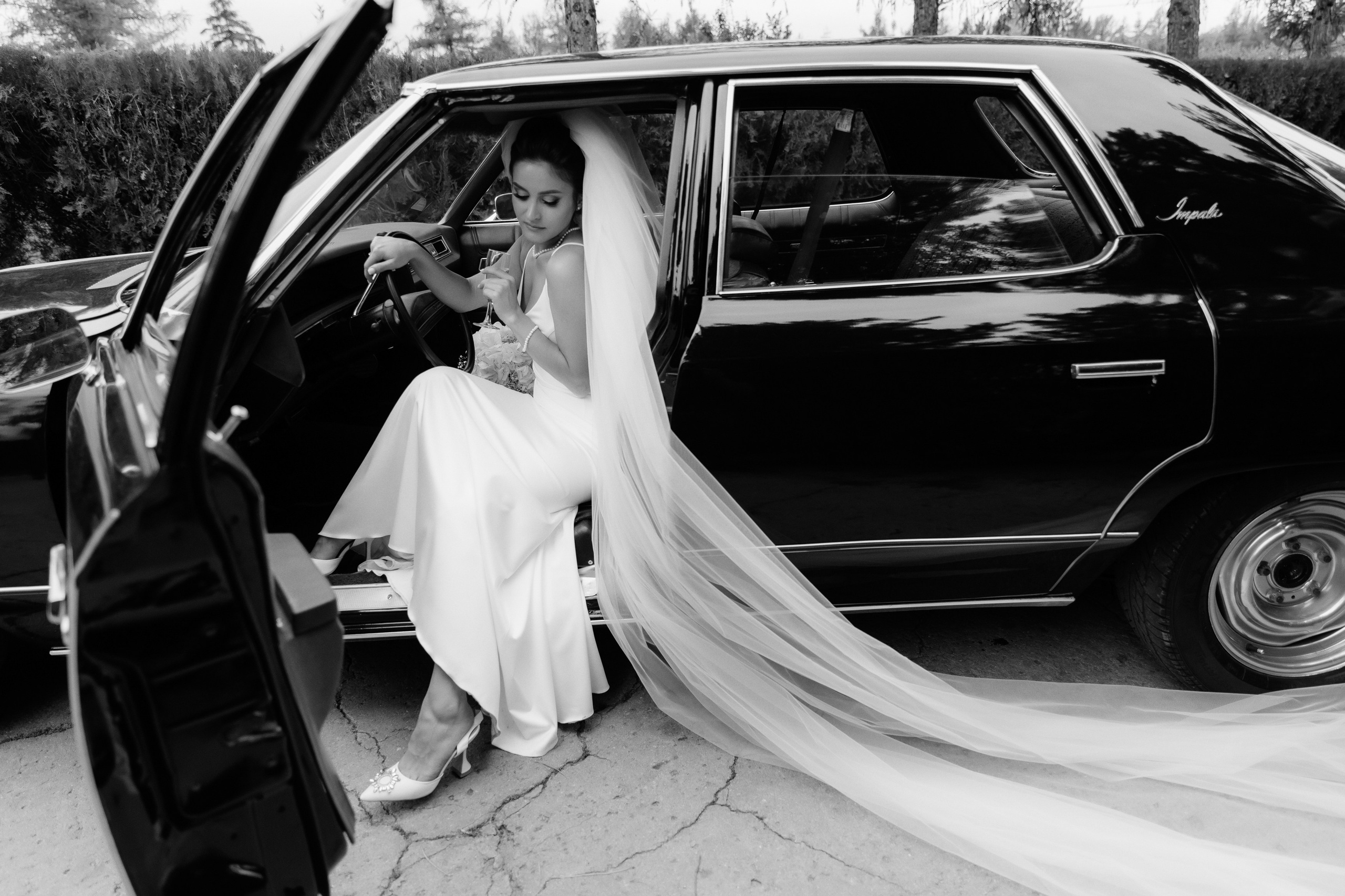 Wedding. Fulga Photographer