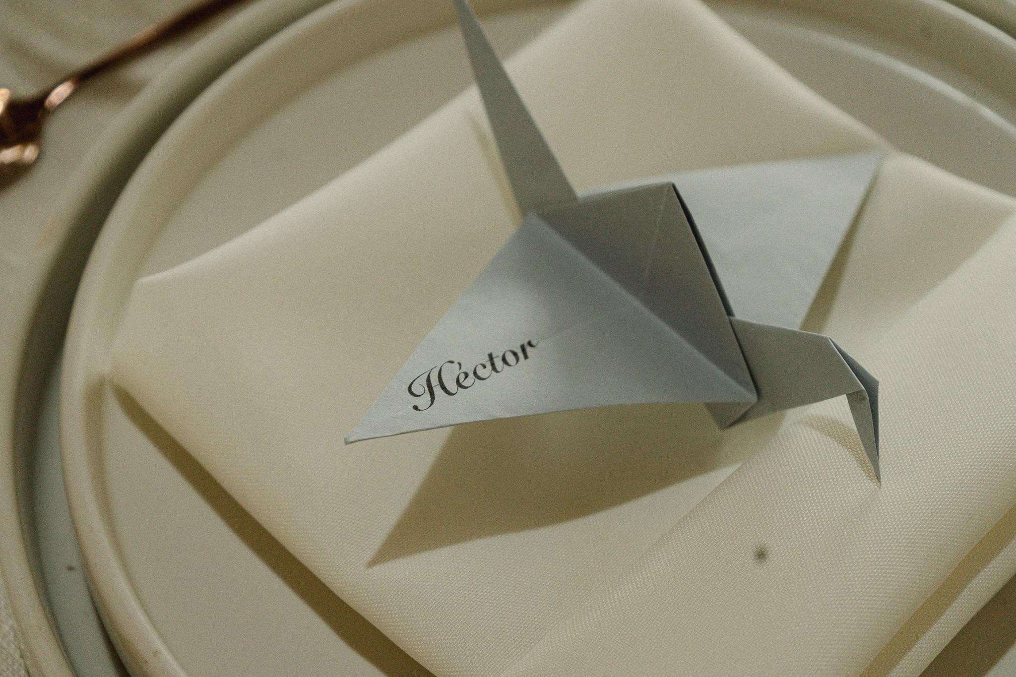 Tania & Hector. Wedding and family photographer in Mexico City