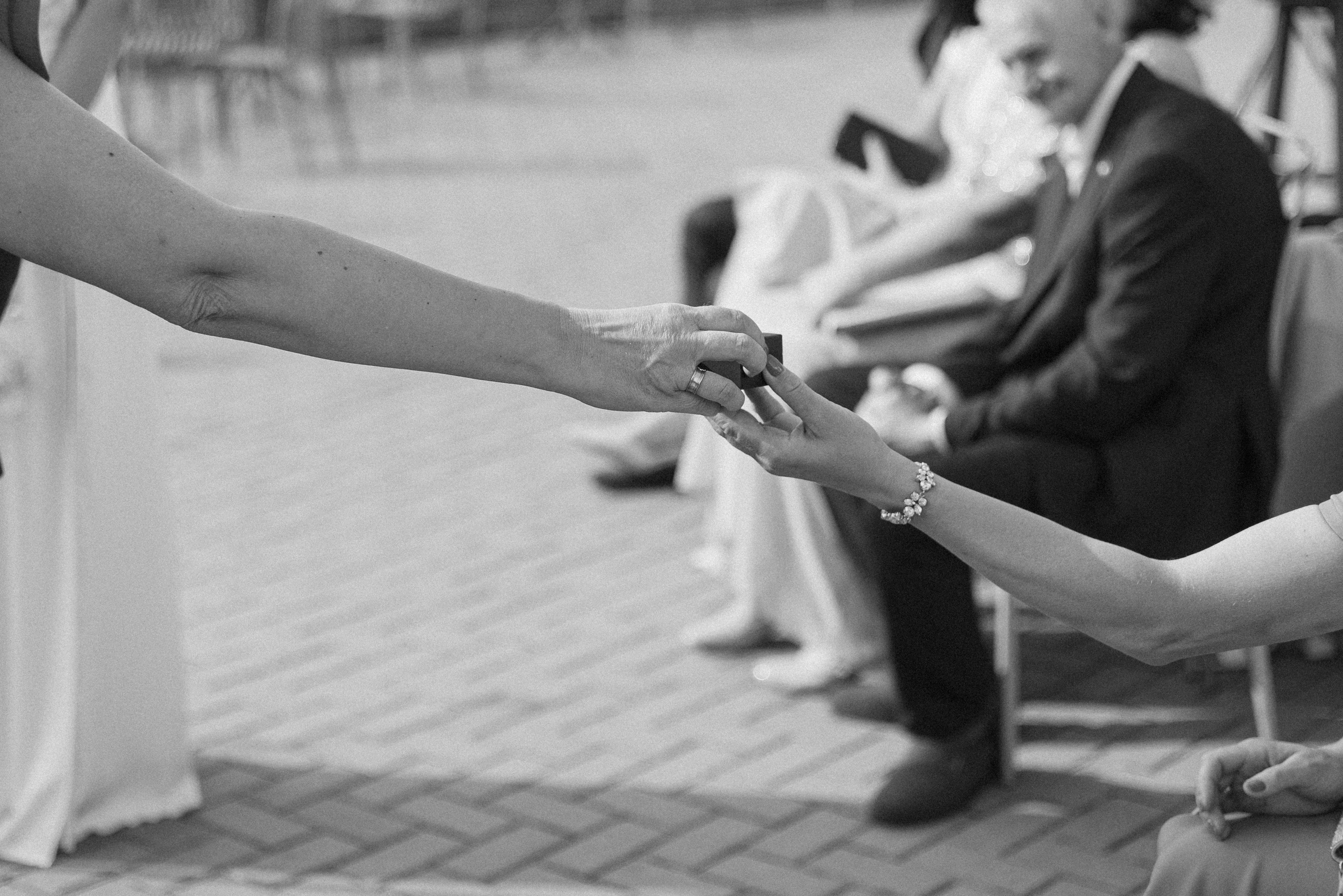 Vestuvės VU Botanikos sode Kairėnuose | Vilma ir Osmundas