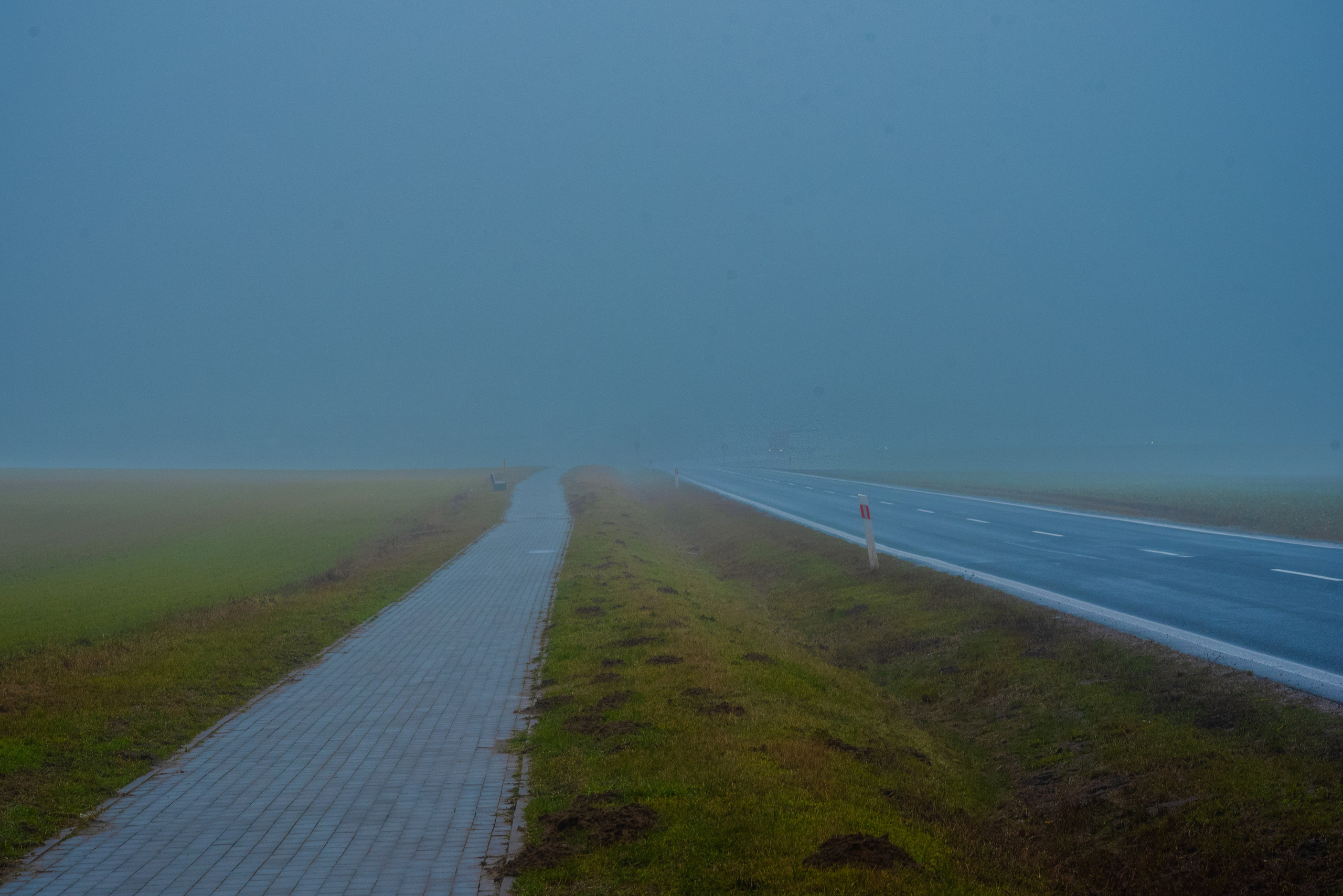 Туман в полях. Kindshephoto Женский и семейный фотограф Москва