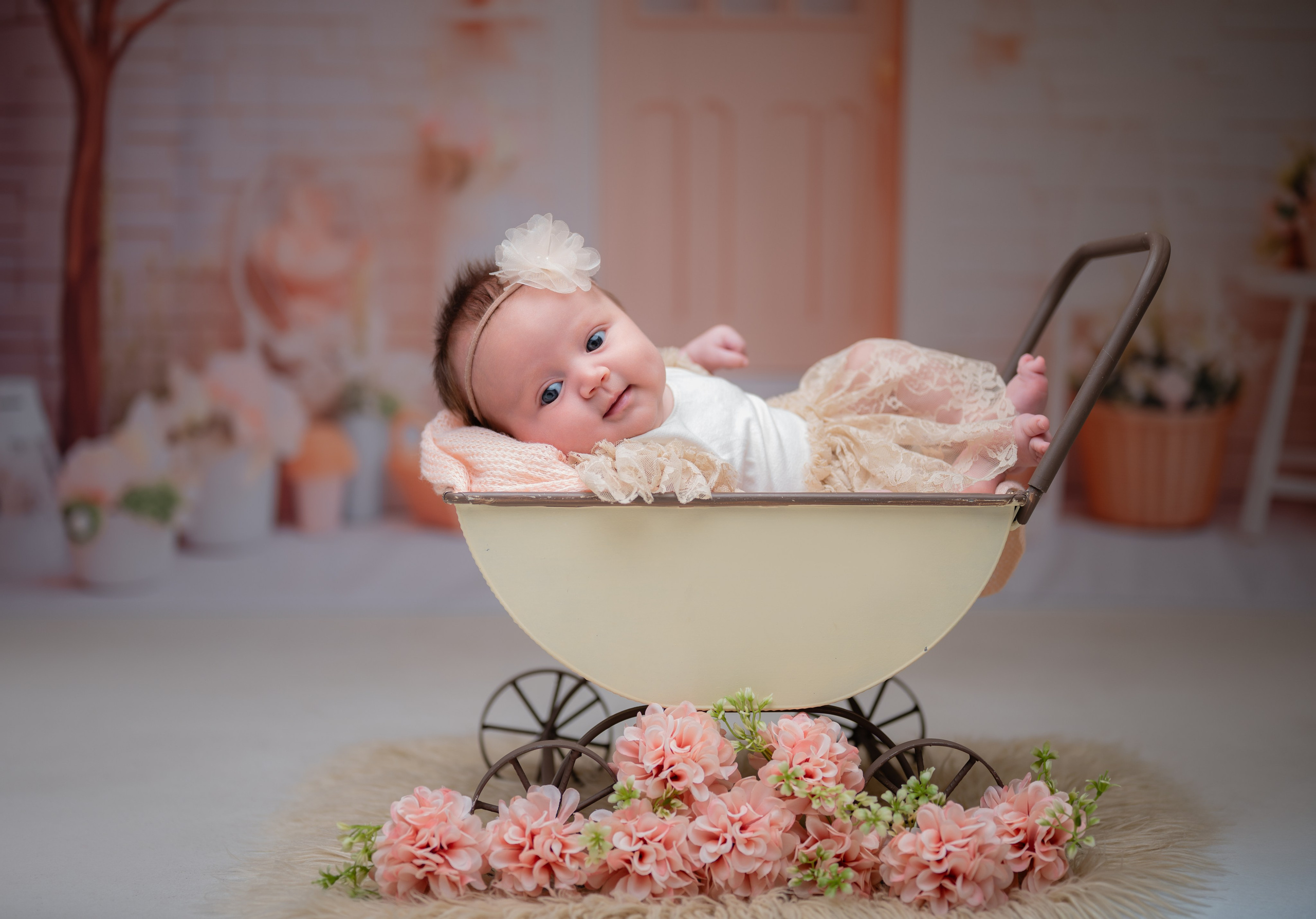 Acompanhamentos. Fotografamos famílias, gestantes, bebês e ensaios individuais