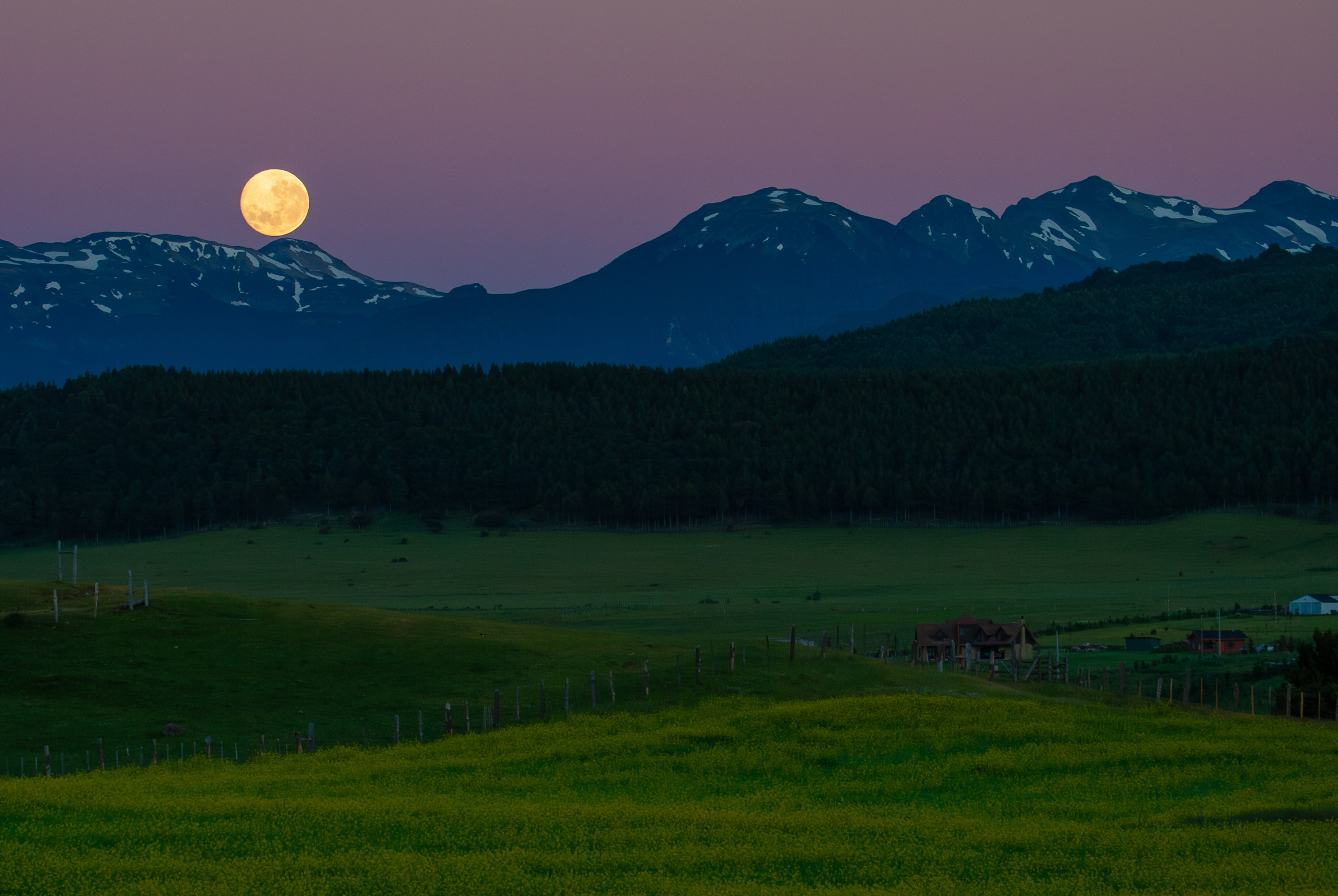 Nature photographer Yuri Soria-Galvarro
