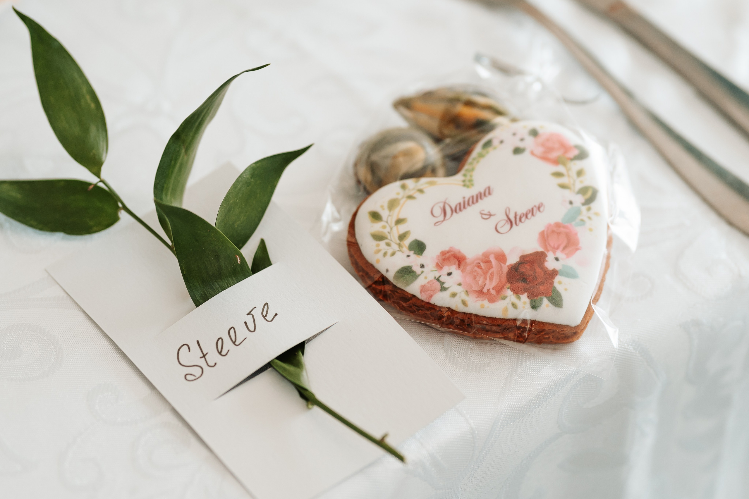 S&D. Montenegro photographer and videographer