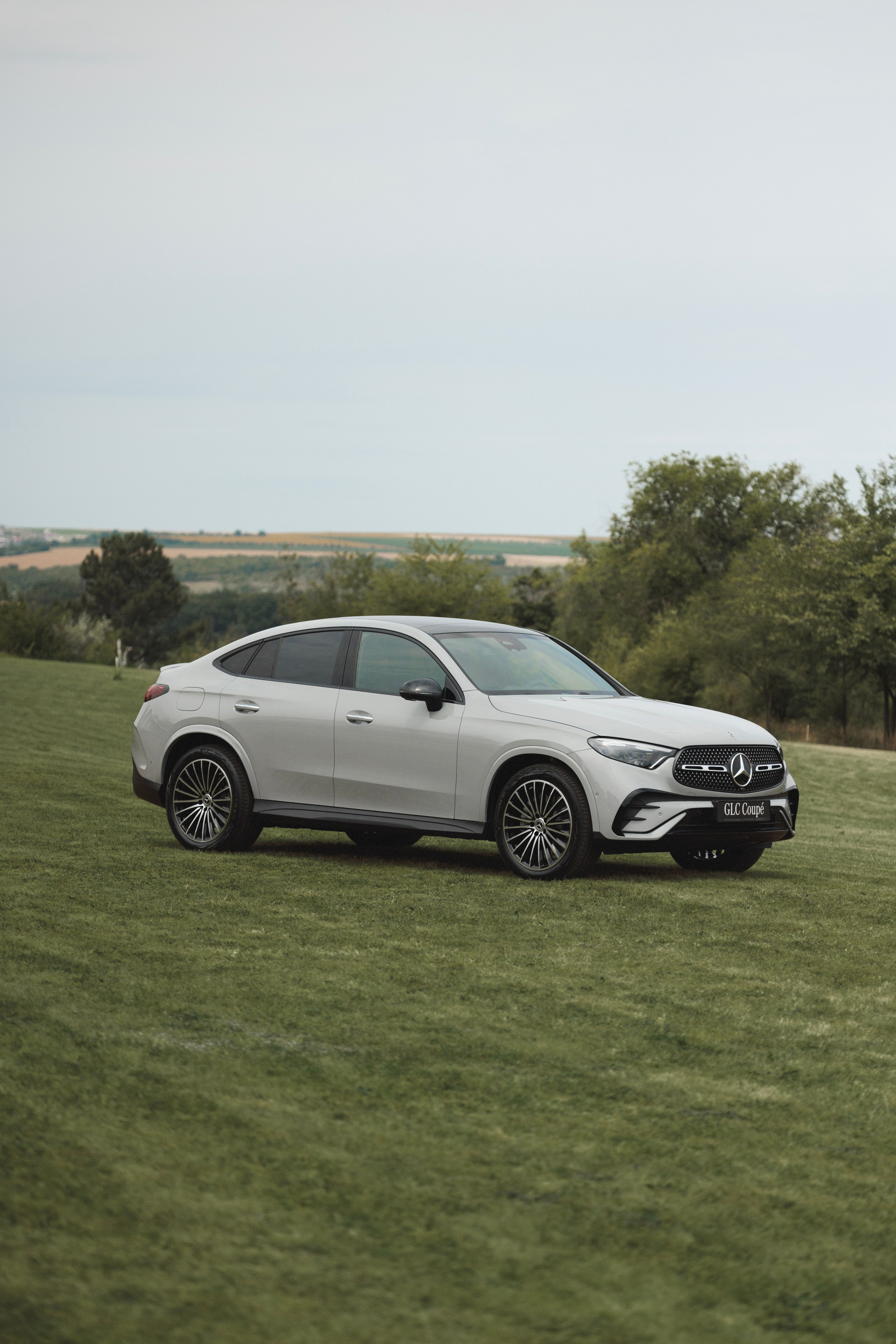 Mersedes. Captured by Hallovud