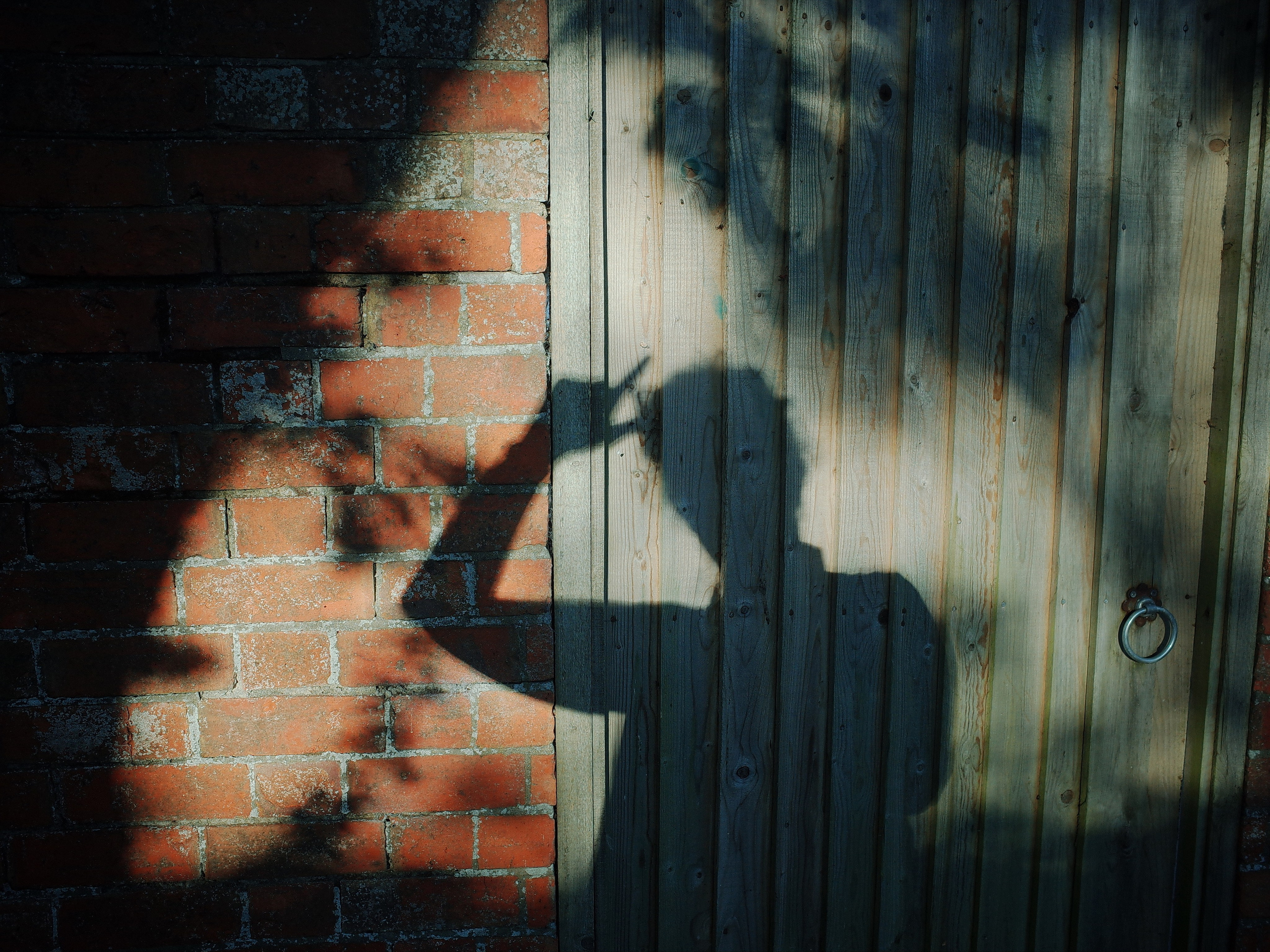 Angry walk of not belonging. Victoria Dini. Art photography in London / Folkestone, UK