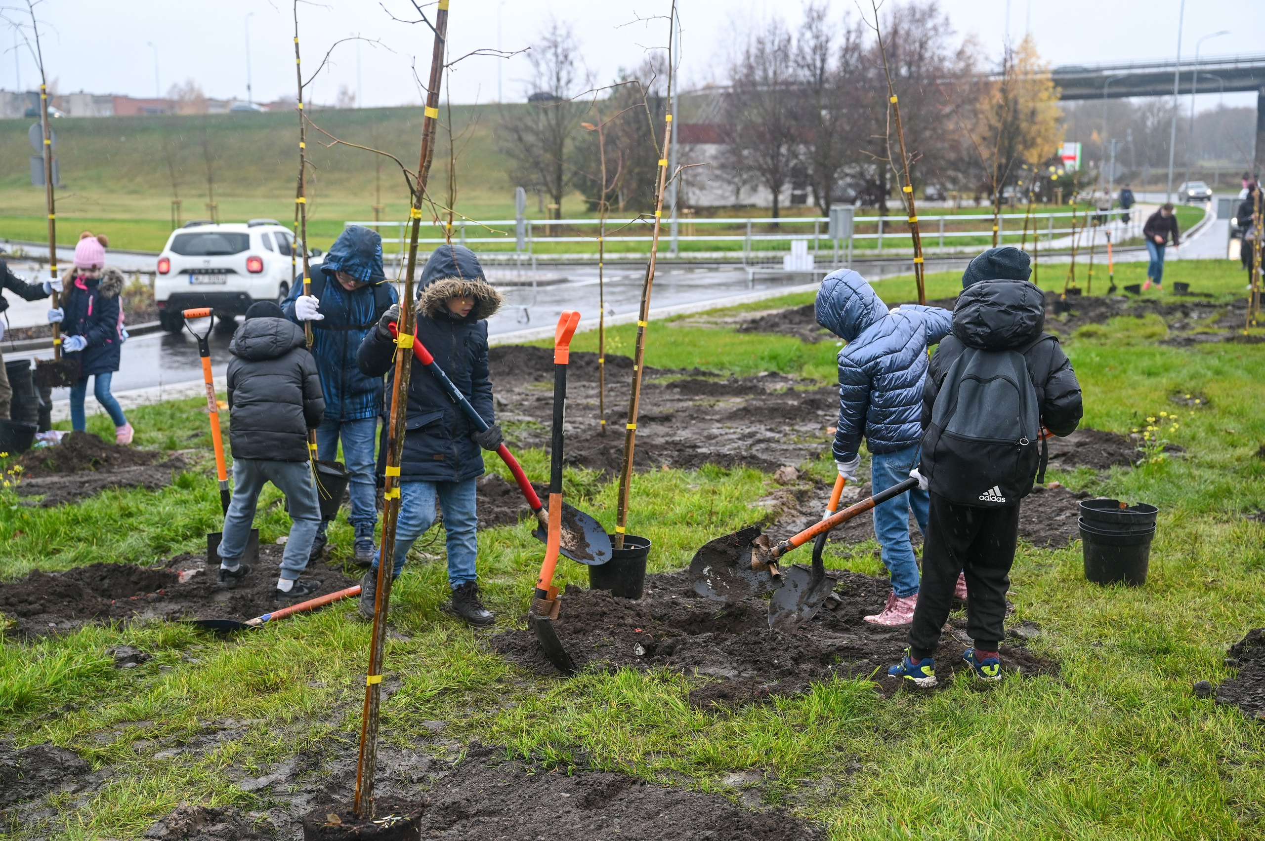Koku stādīšana Rēzekne stacijas iela. Ritvars Pujats Emotion Photographer