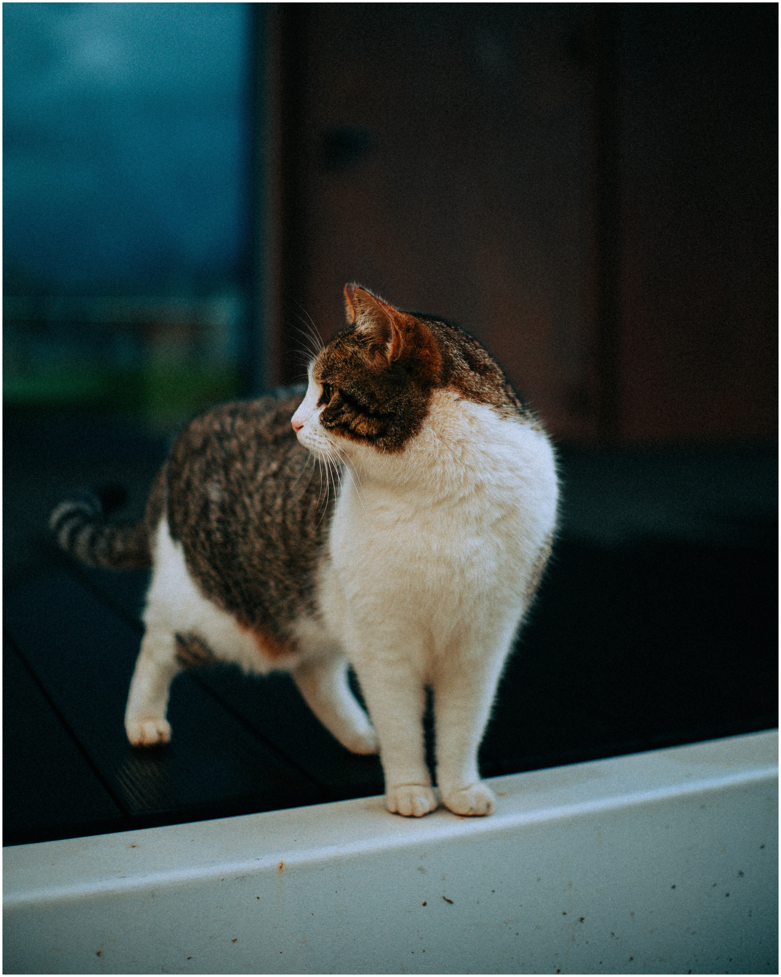 PALERMO. Photographer Inna Mendelson