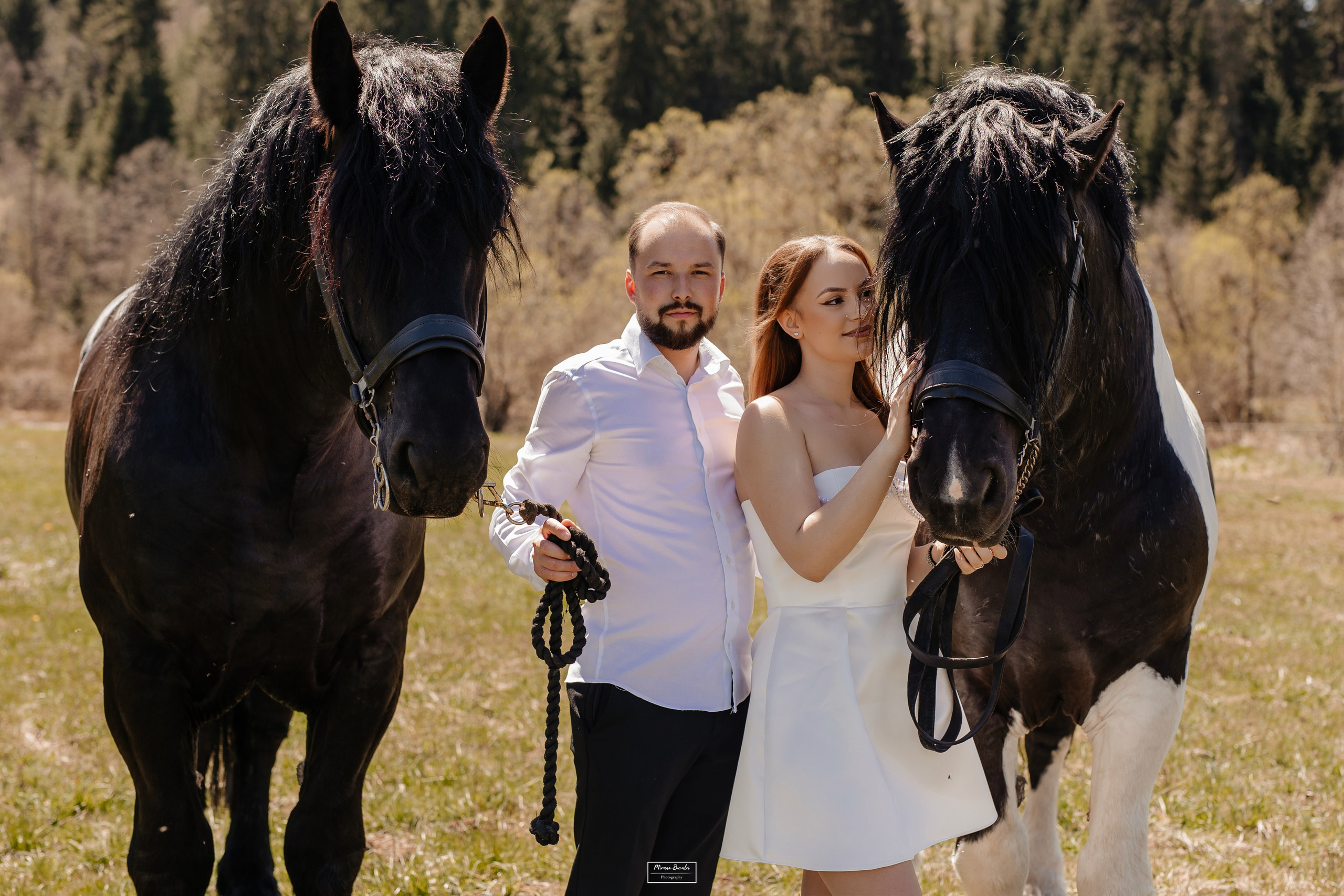 Save The Date — Ioana & Cătălin. Pagină Principală