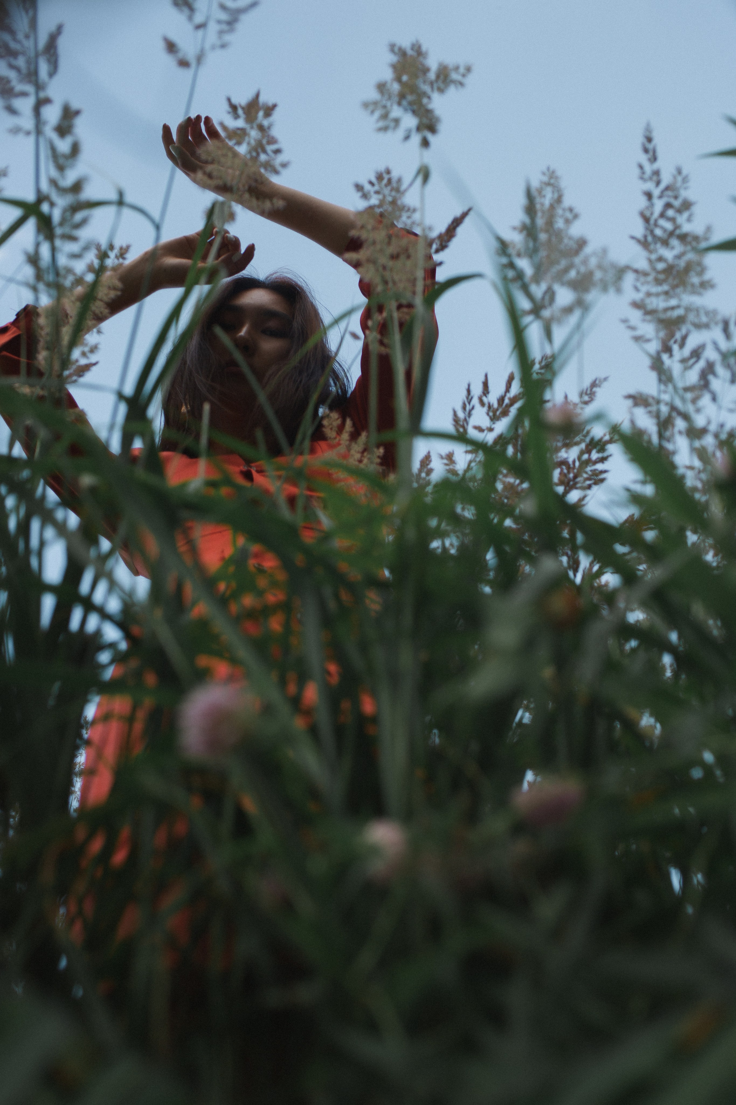 Aijan. Forest. Photographer Vladmir Gladkov