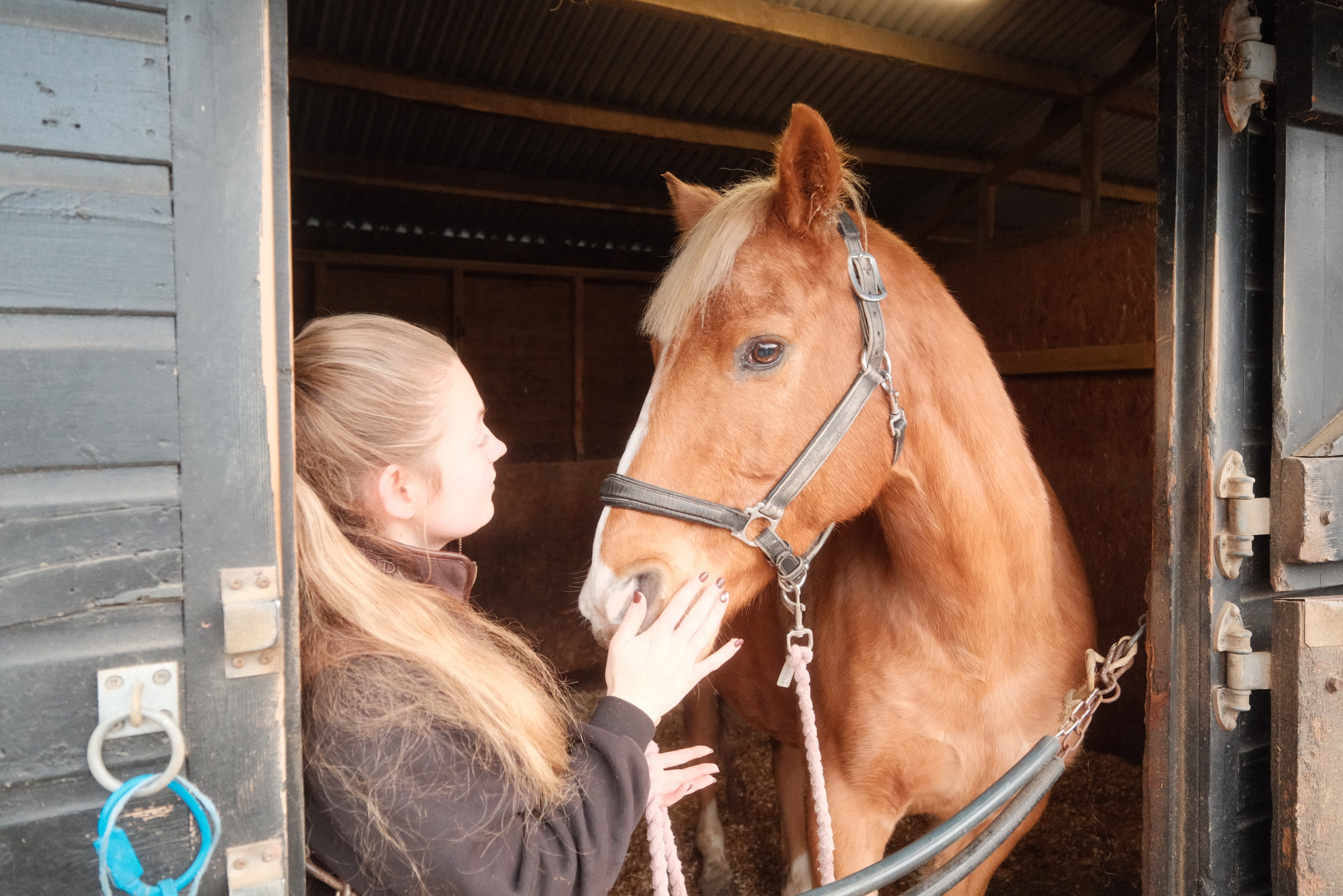 Portrait photography with Fudge the horse. Cal Takes Photos