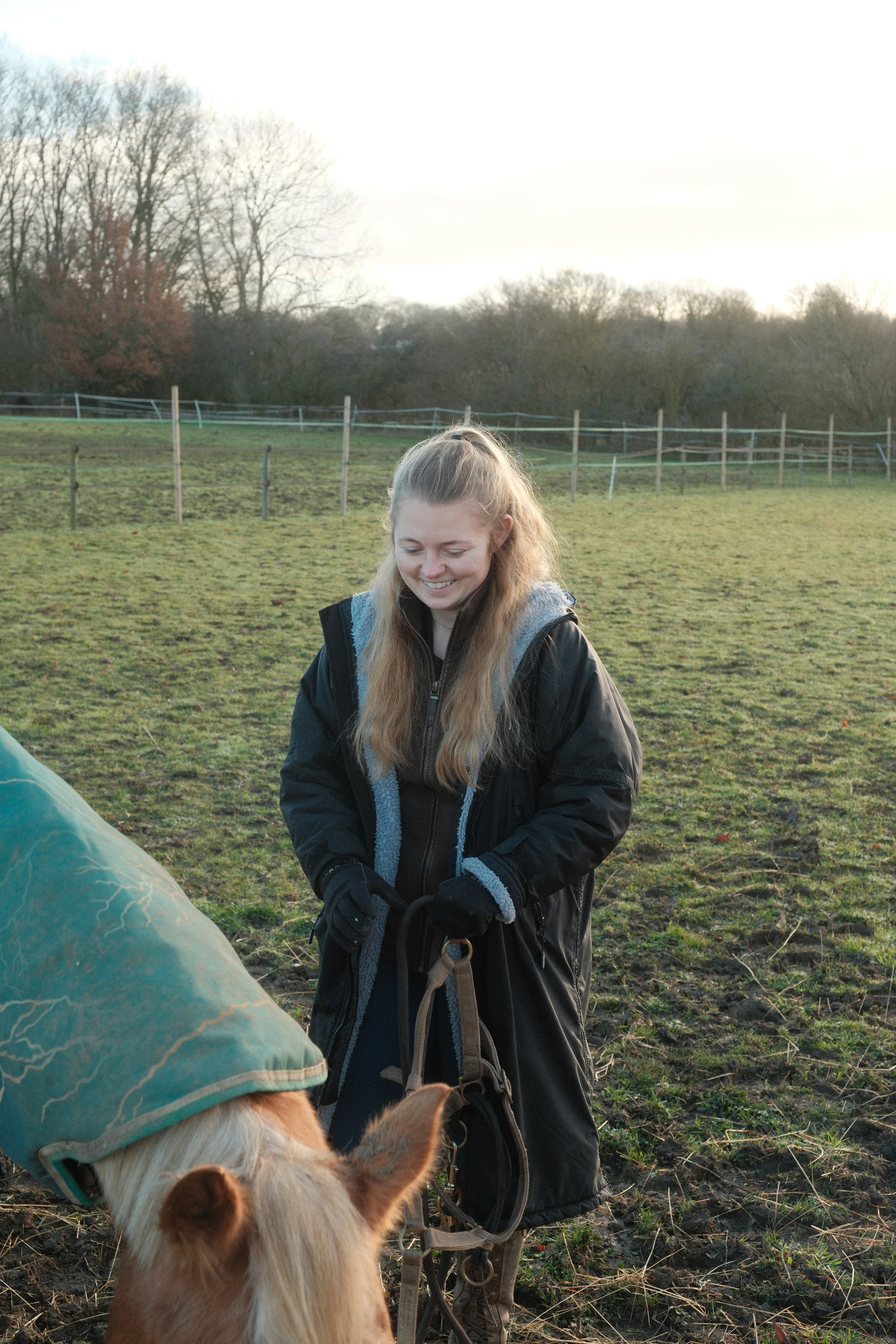 Portrait photography with Fudge the horse. Cal Takes Photos