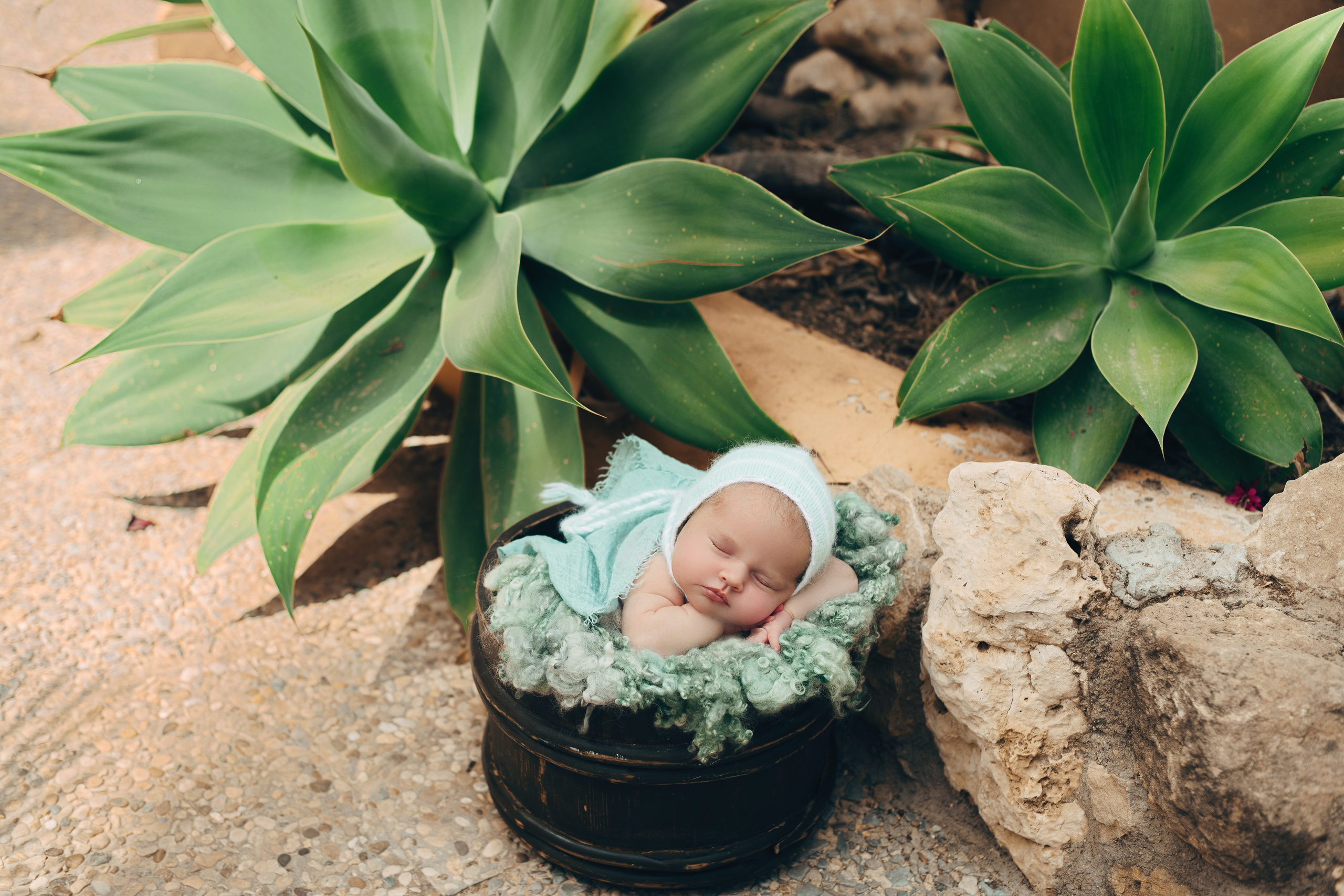 Naturaleza. Https://newbornphoto.wfolio.pro/me
