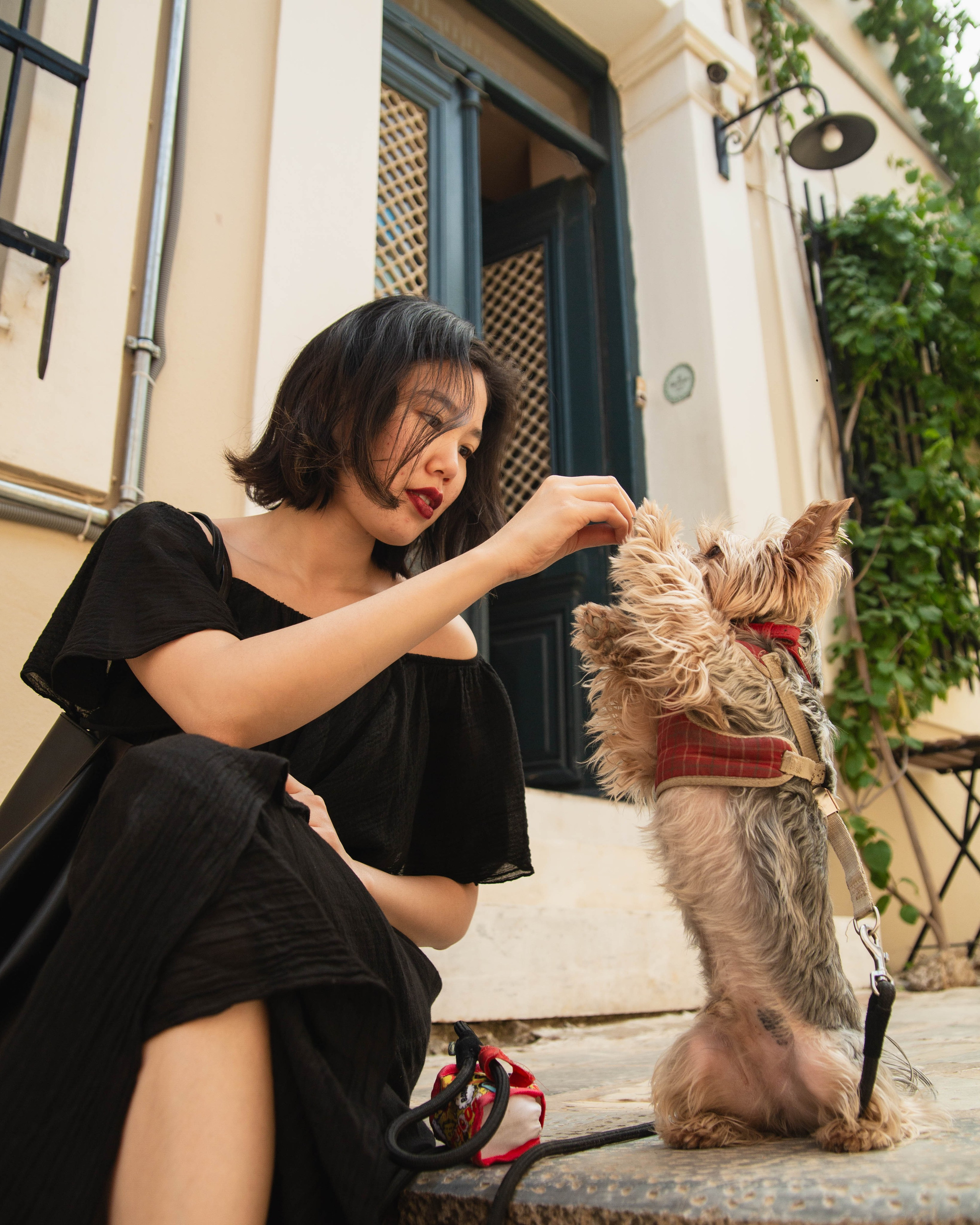 Portrait Session with Your Dog in Athens | Pet Photography