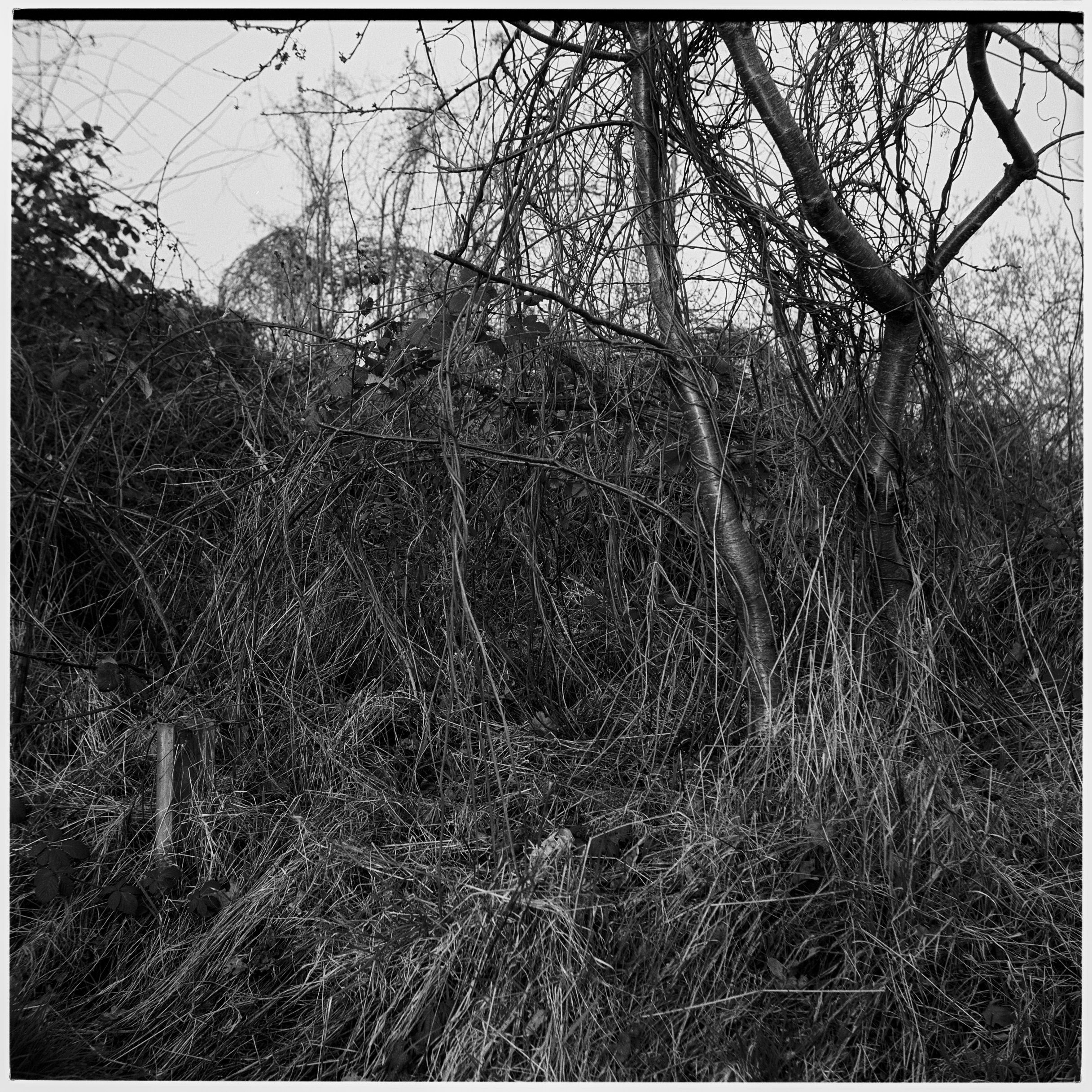 Analog Sketches. Anastasia Musinova