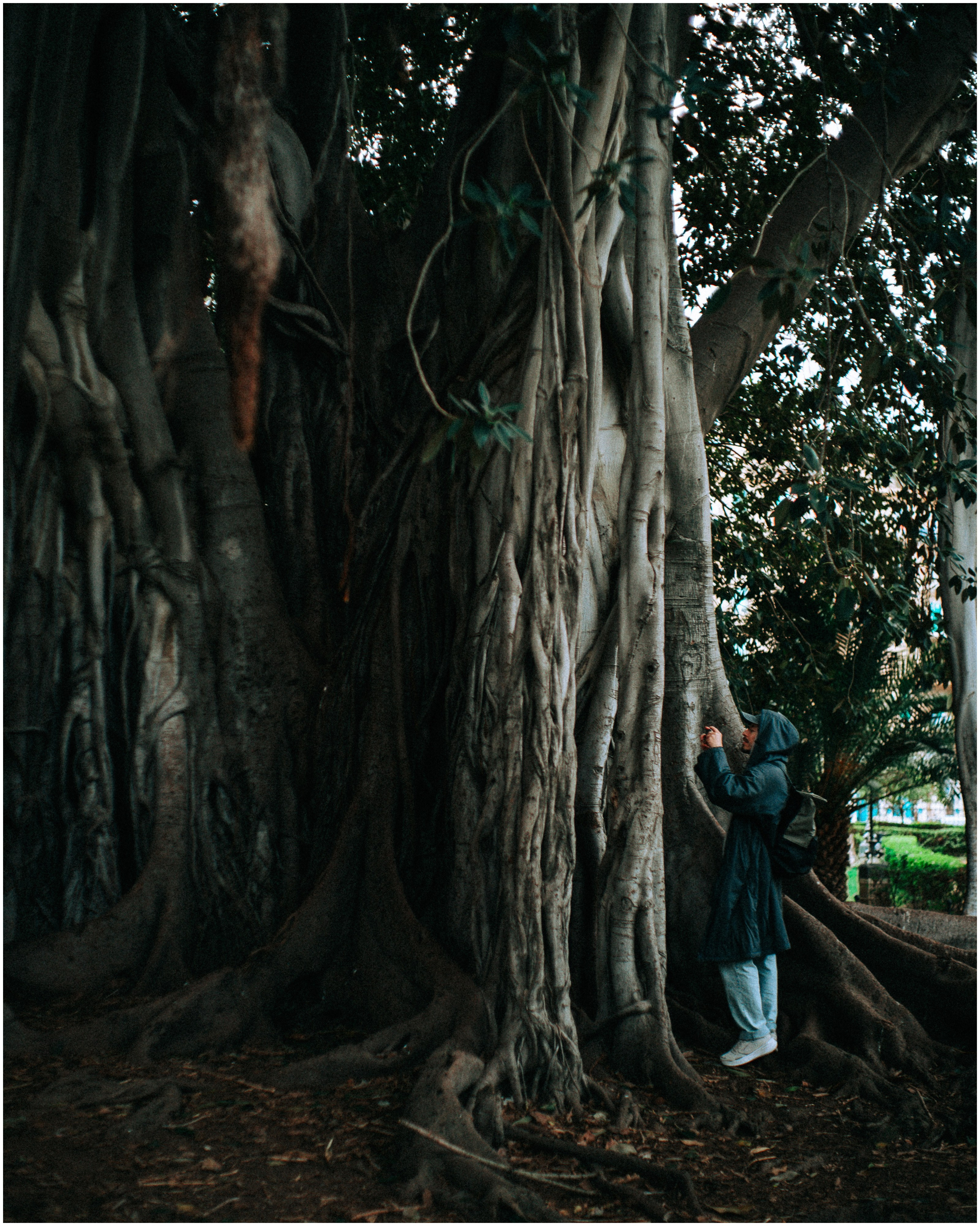 PALERMO. Photographer Inna Mendelson