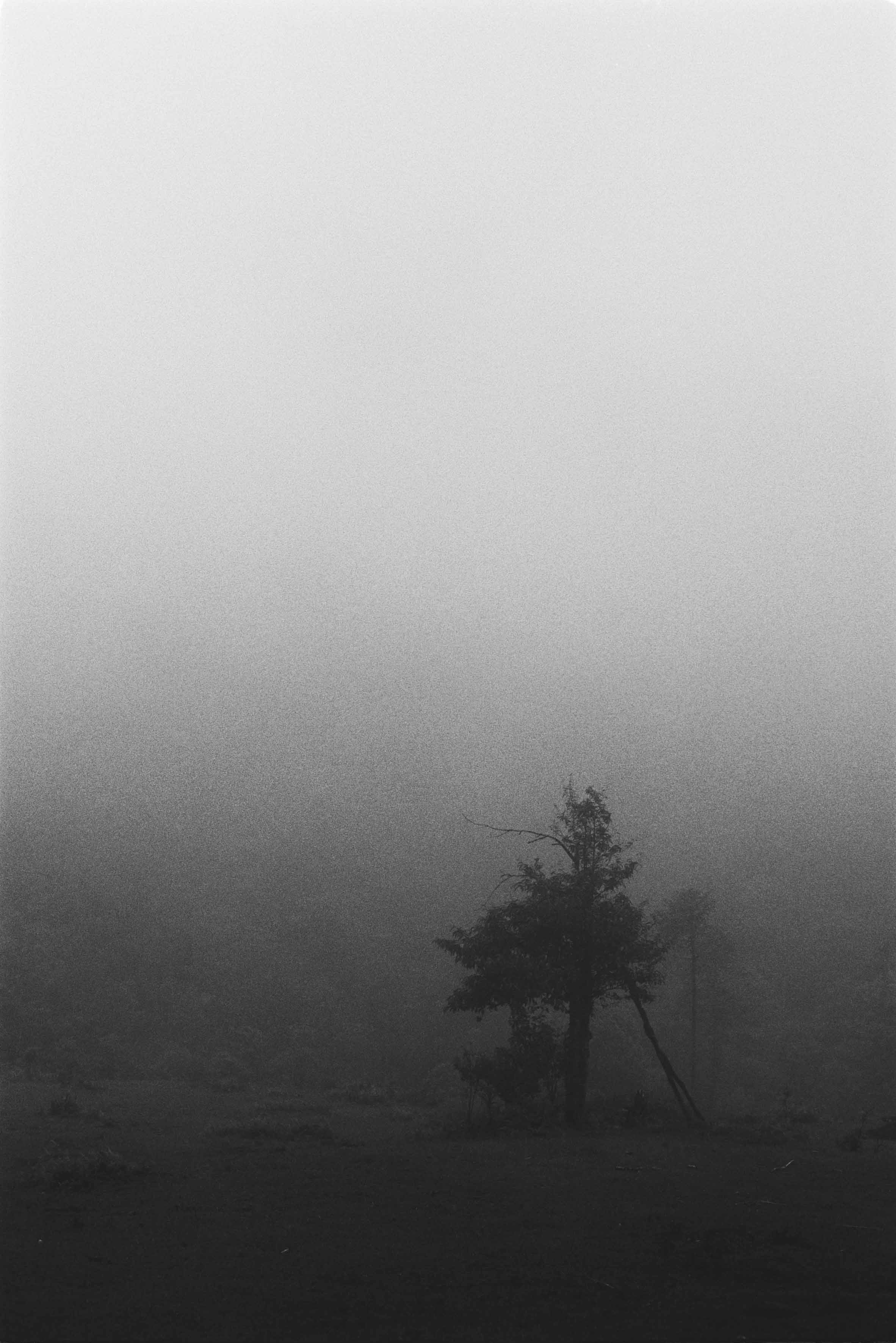 Nature and people. Creative photographer in Madrid Anna Dvorianskaia