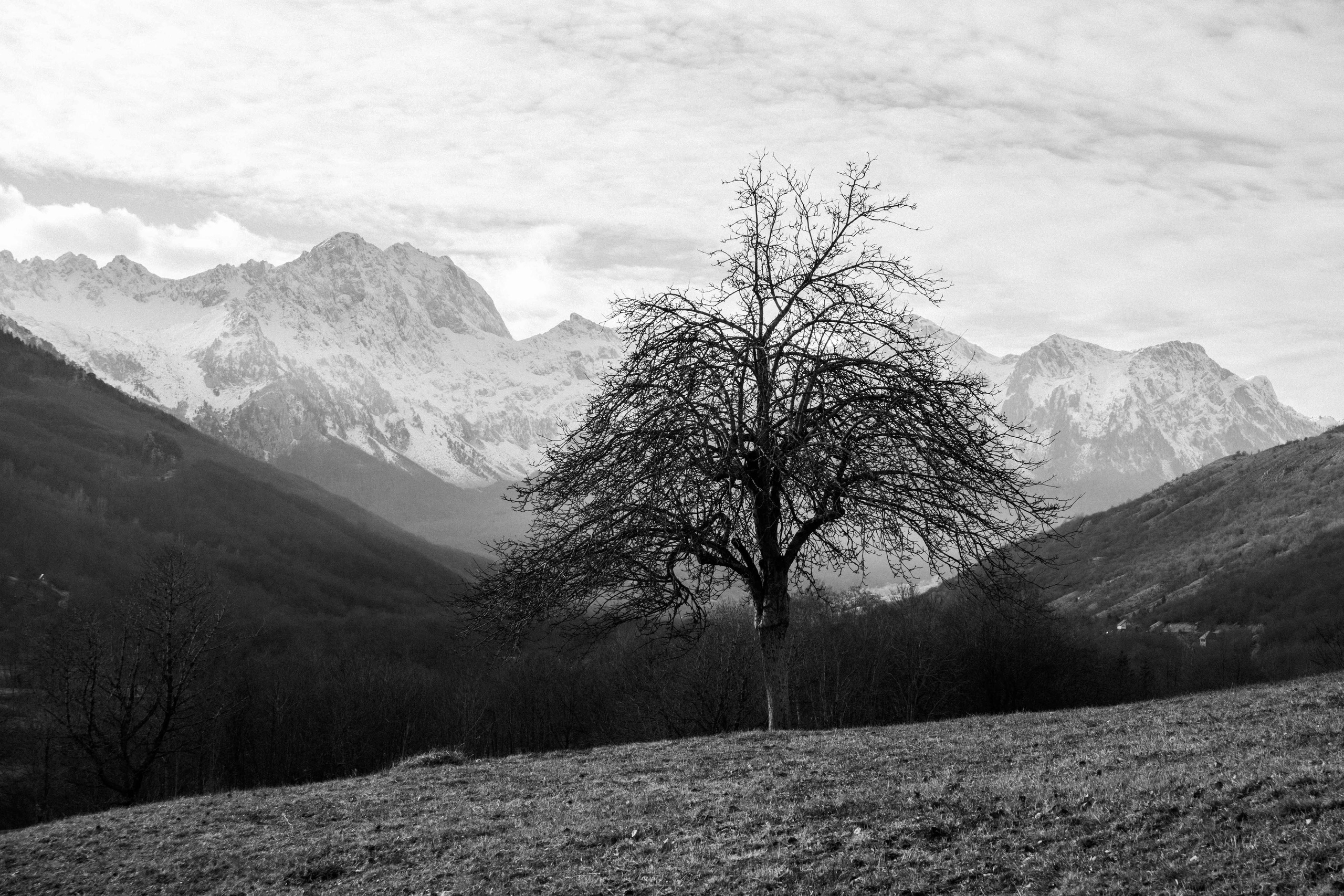 Nature and people. Creative photographer in Madrid Anna Dvorianskaia