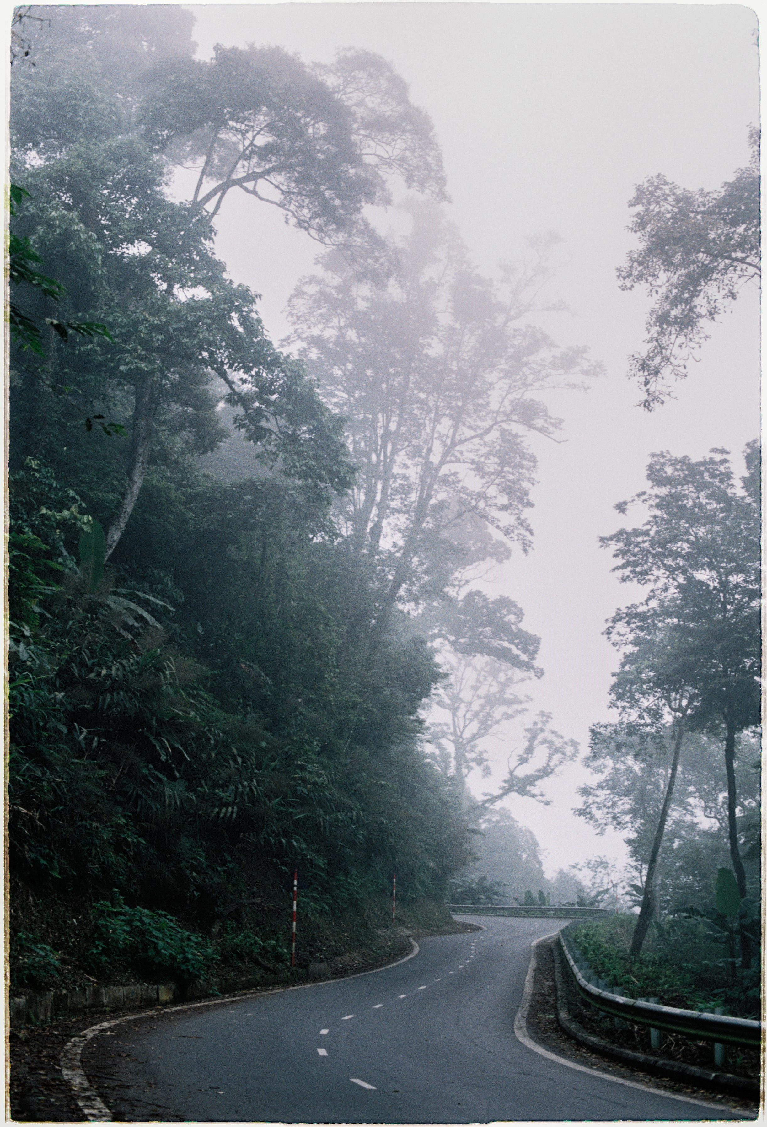 Nature and people. Creative photographer in Madrid Anna Dvorianskaia
