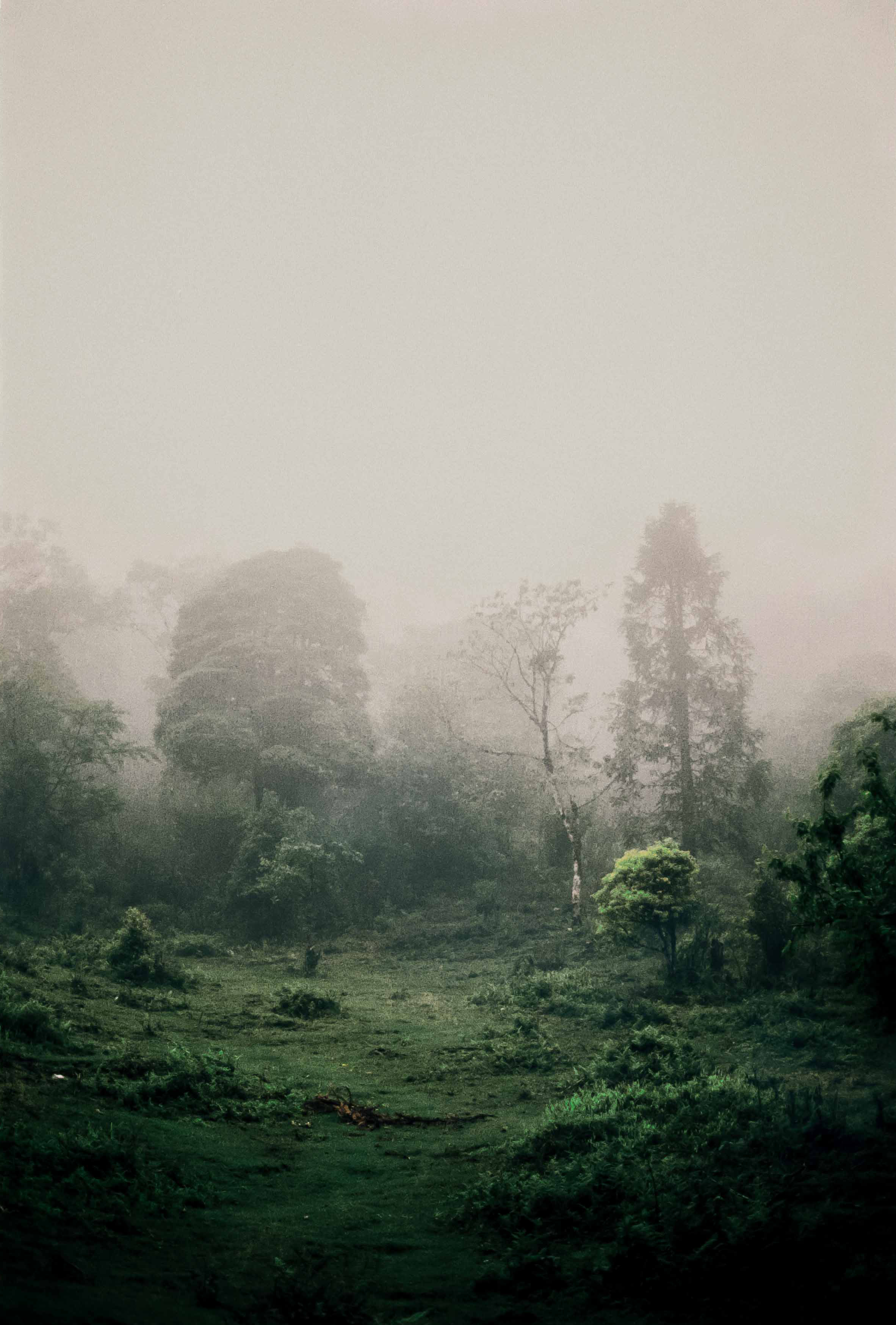 Nature and people. Creative photographer in Madrid Anna Dvorianskaia