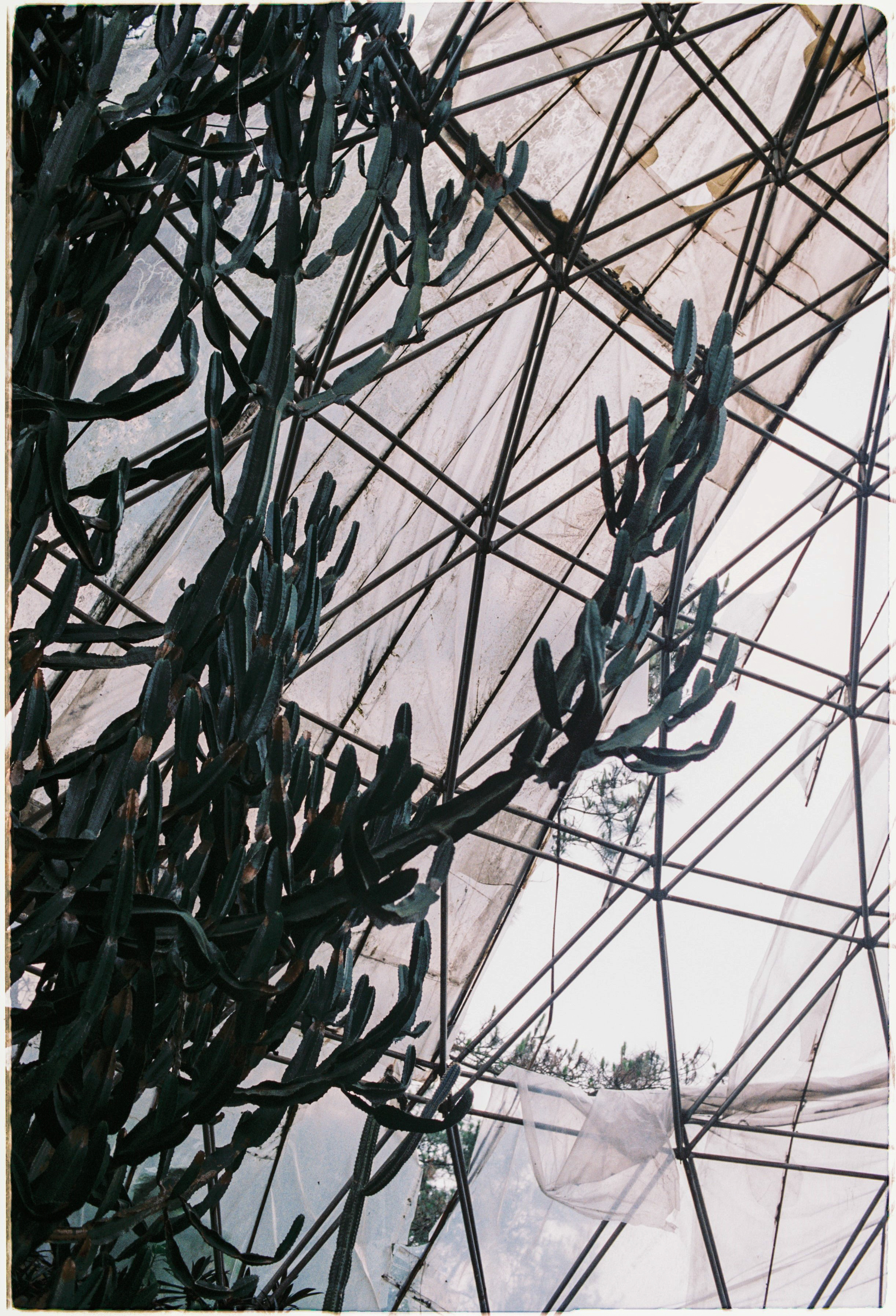 Nature and people. Creative photographer in Madrid Anna Dvorianskaia