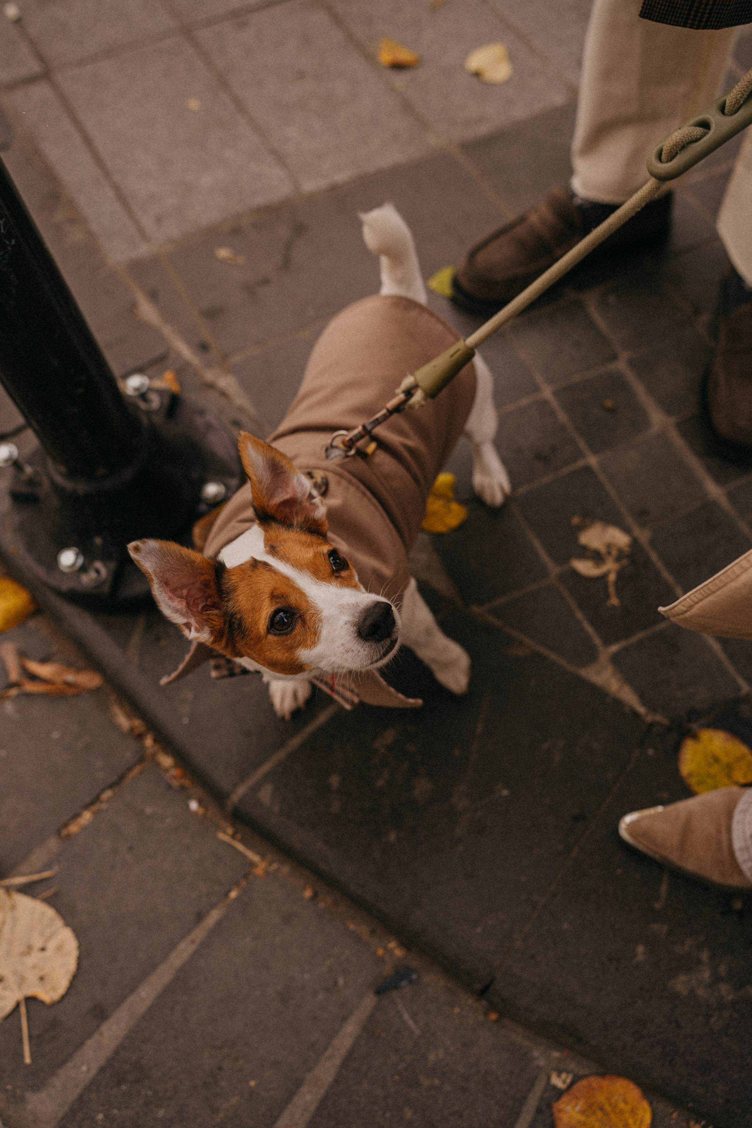 Зу & Саша. Фотограф Москва Ларина Юлия