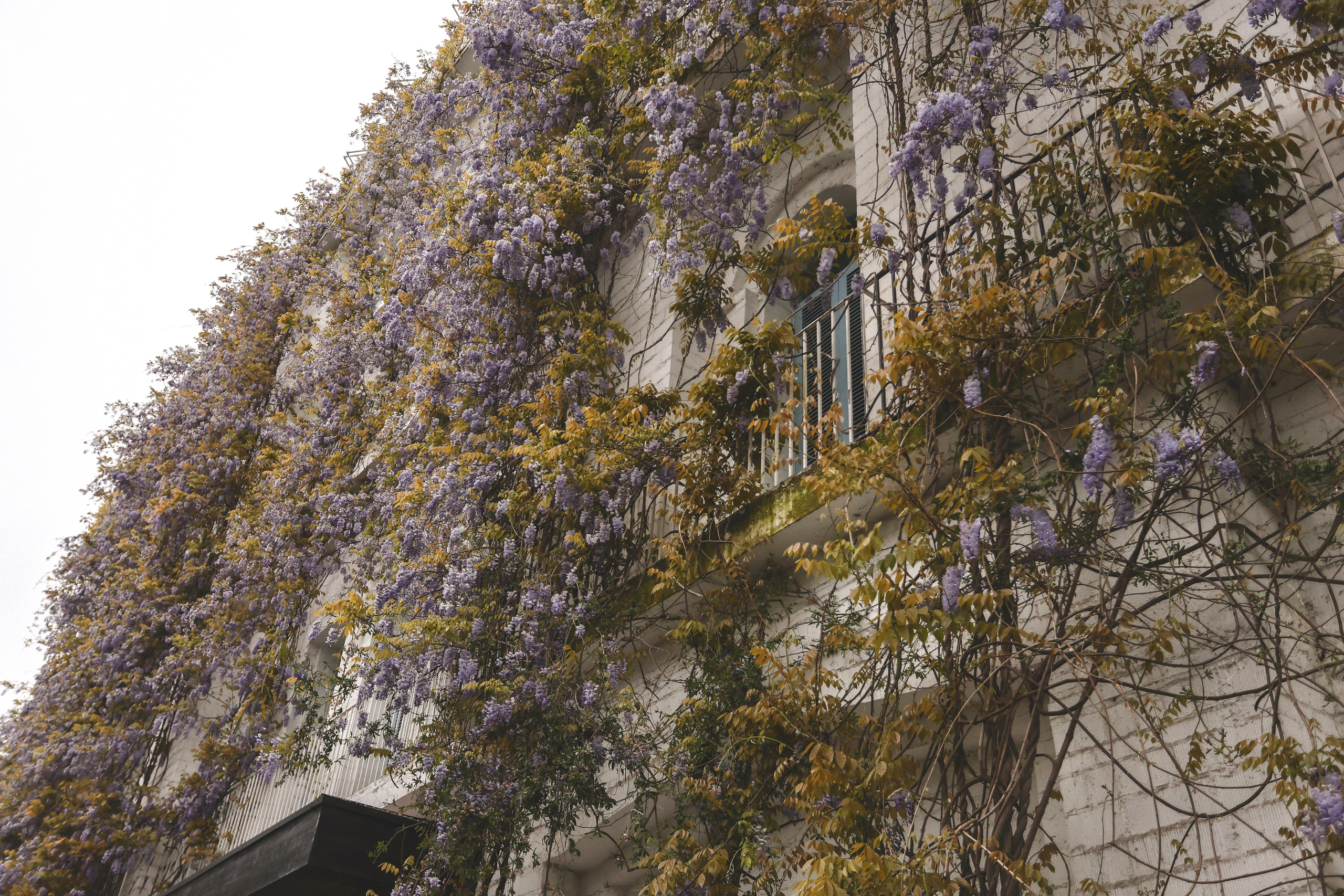 Only you. Свадебный, семейный и детский фотограф в Беларуси и за ее пределами