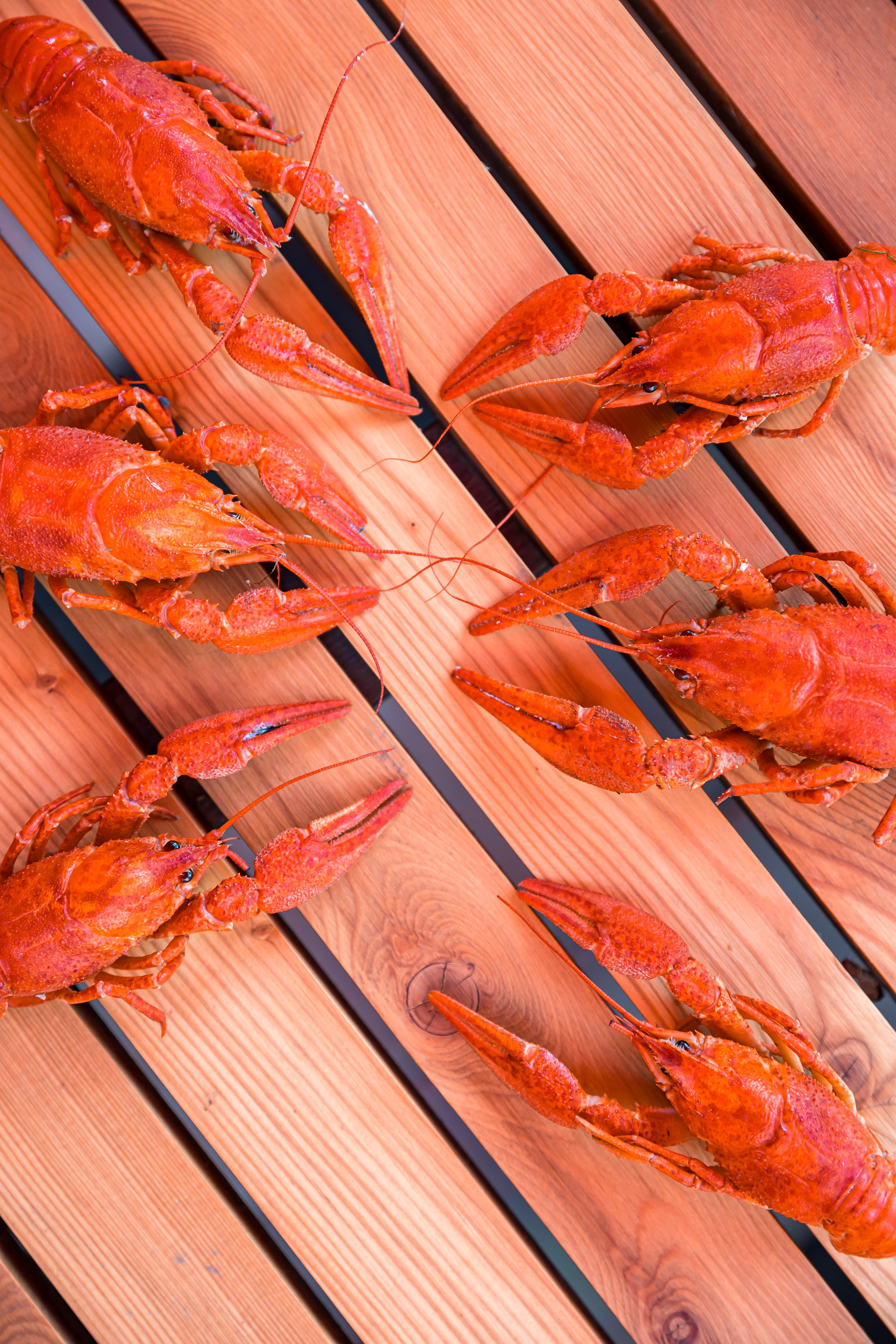 Предметная фотосъёмка. Яркие моменты, запечатленные в каждом кадре