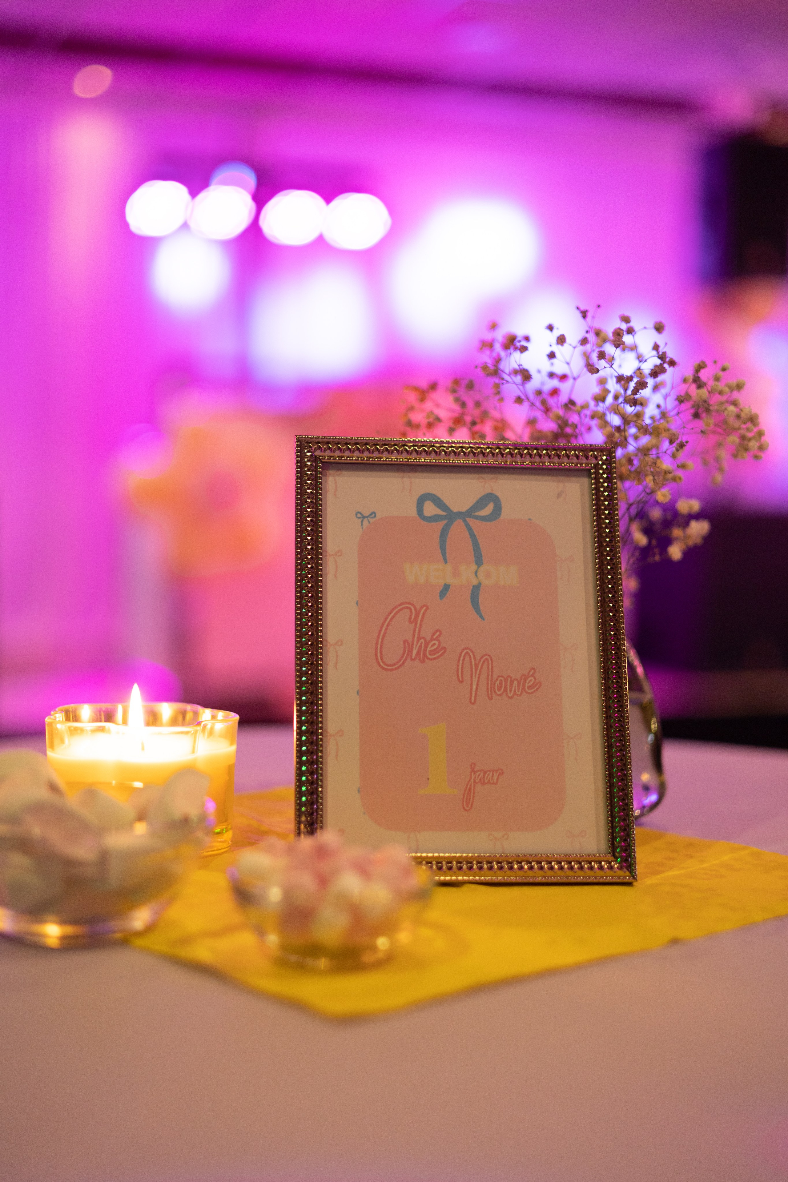 1 st Birthday. Portrait and Family Photographer in Netherlands