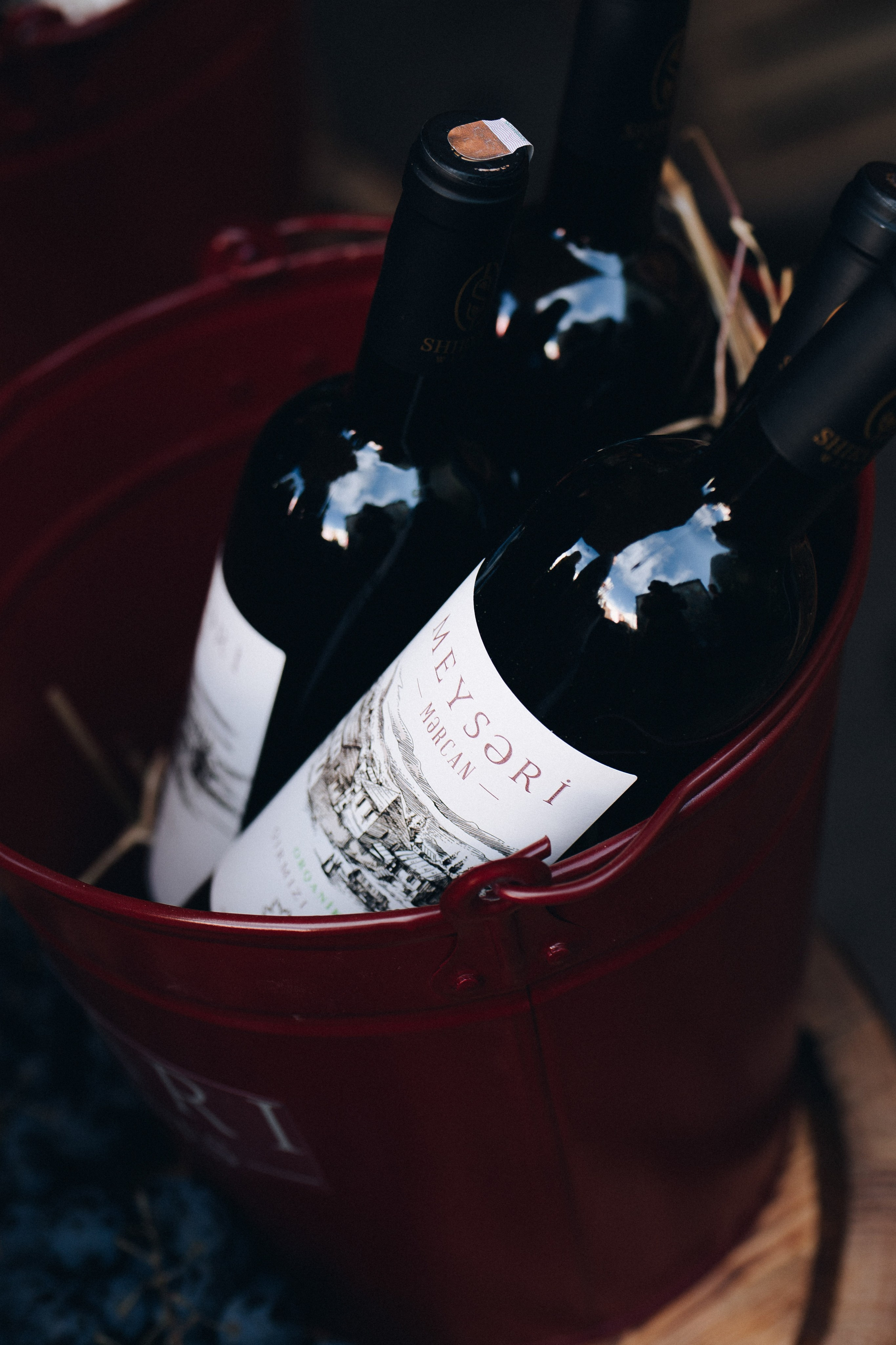 MEYSARI WINE FESTIVAL. Wedding&Event photographer Ismail Rzayev in Baku