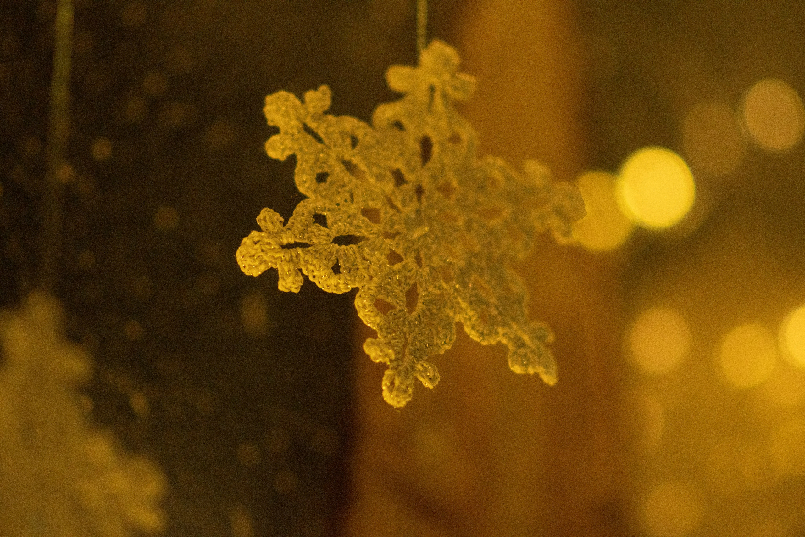 Проект. Семейный и детский фотограф