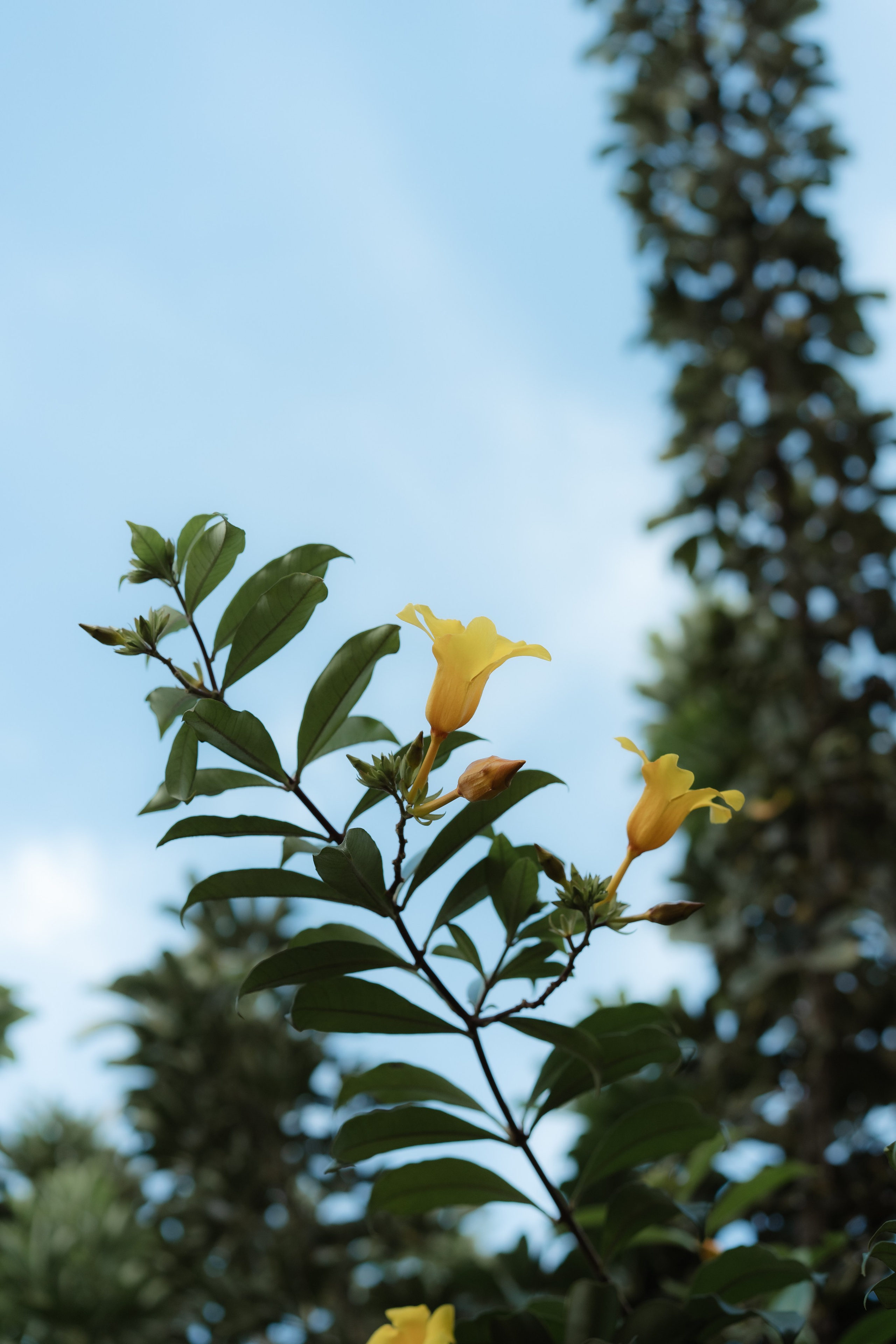 Aldre & Matheus | Guarapari. Lembrar não é só ver. É sentir de novo