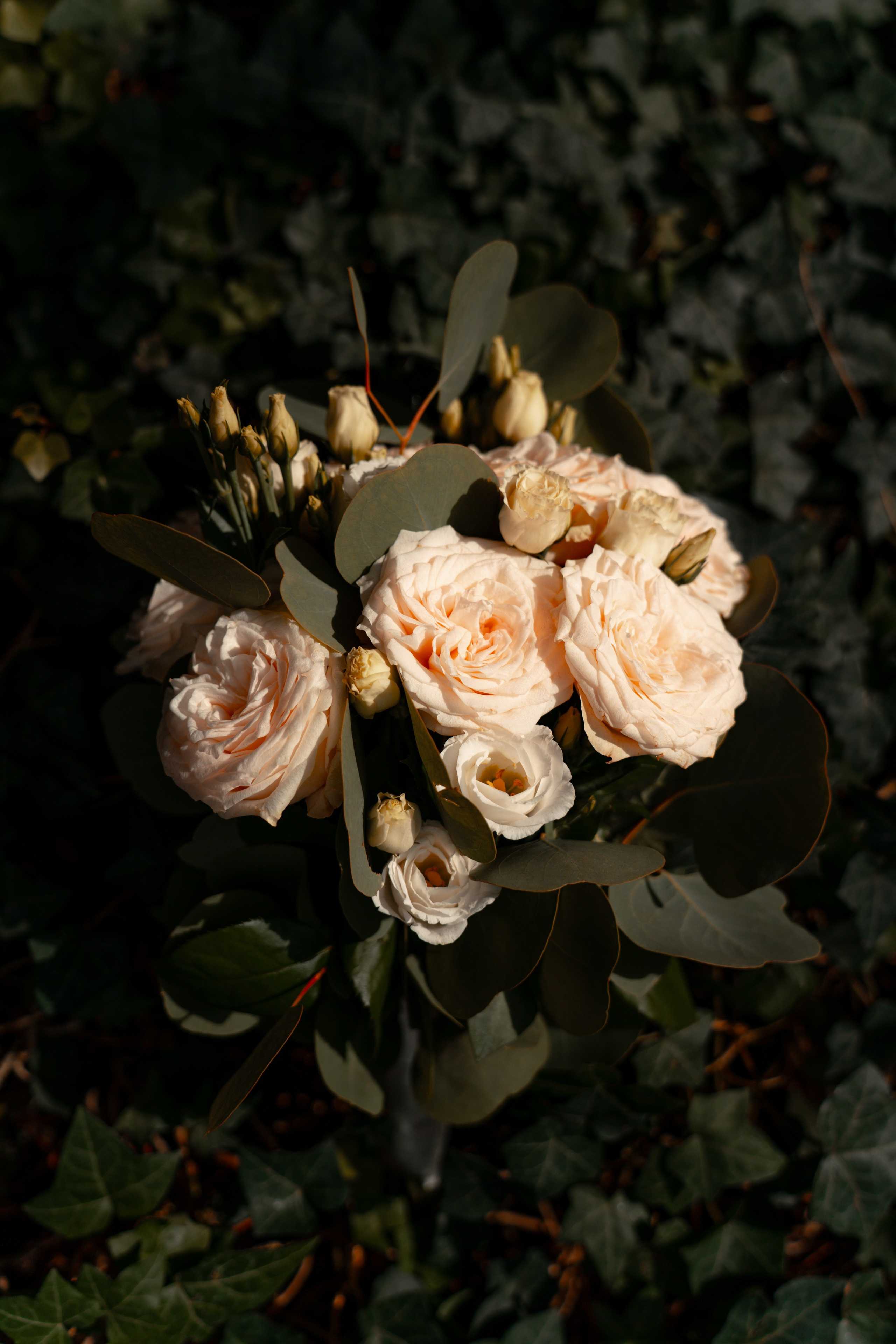 A&M. Montenegro photographer and videographer