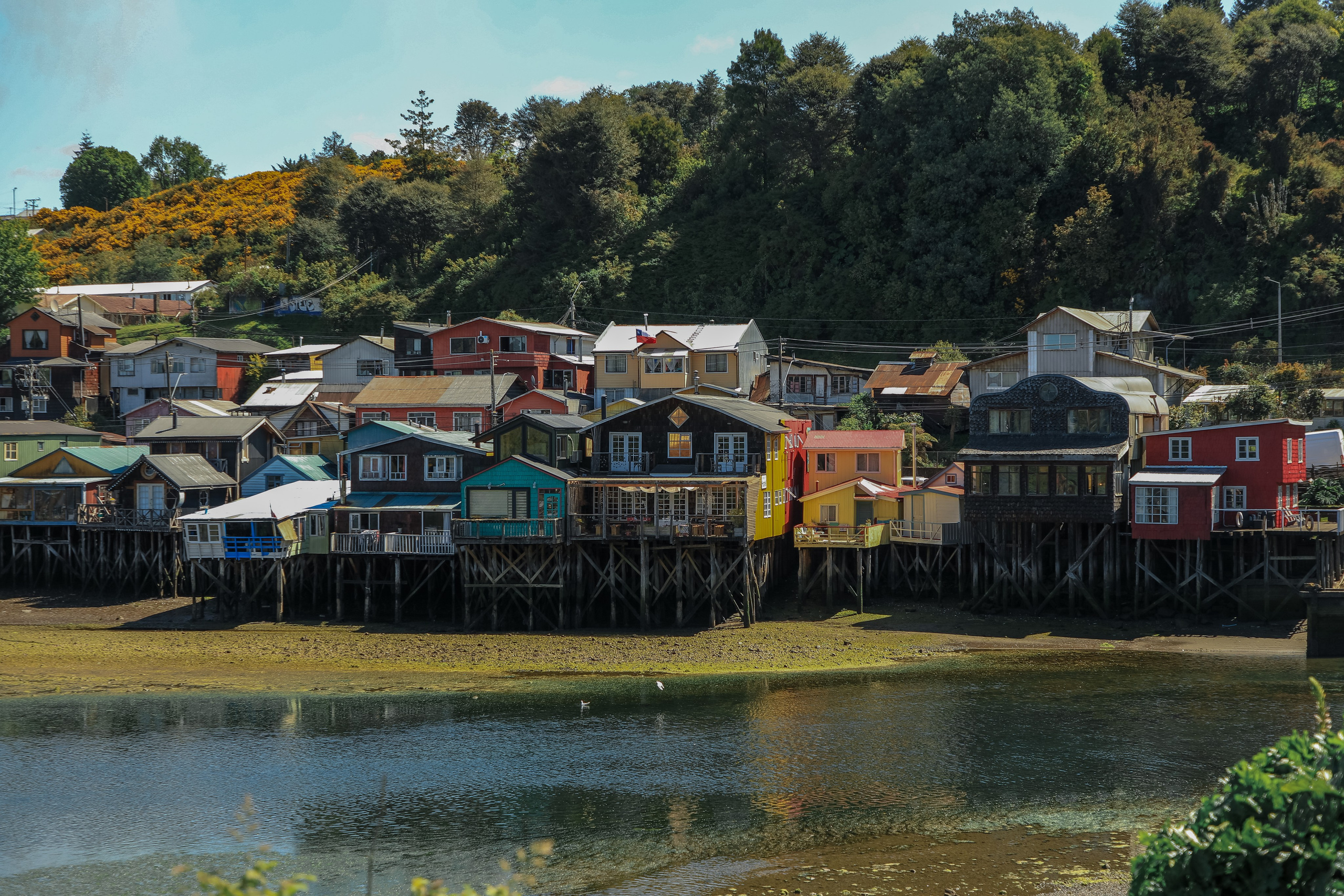 PATAGONIE. Photographe Karen Tatevosian