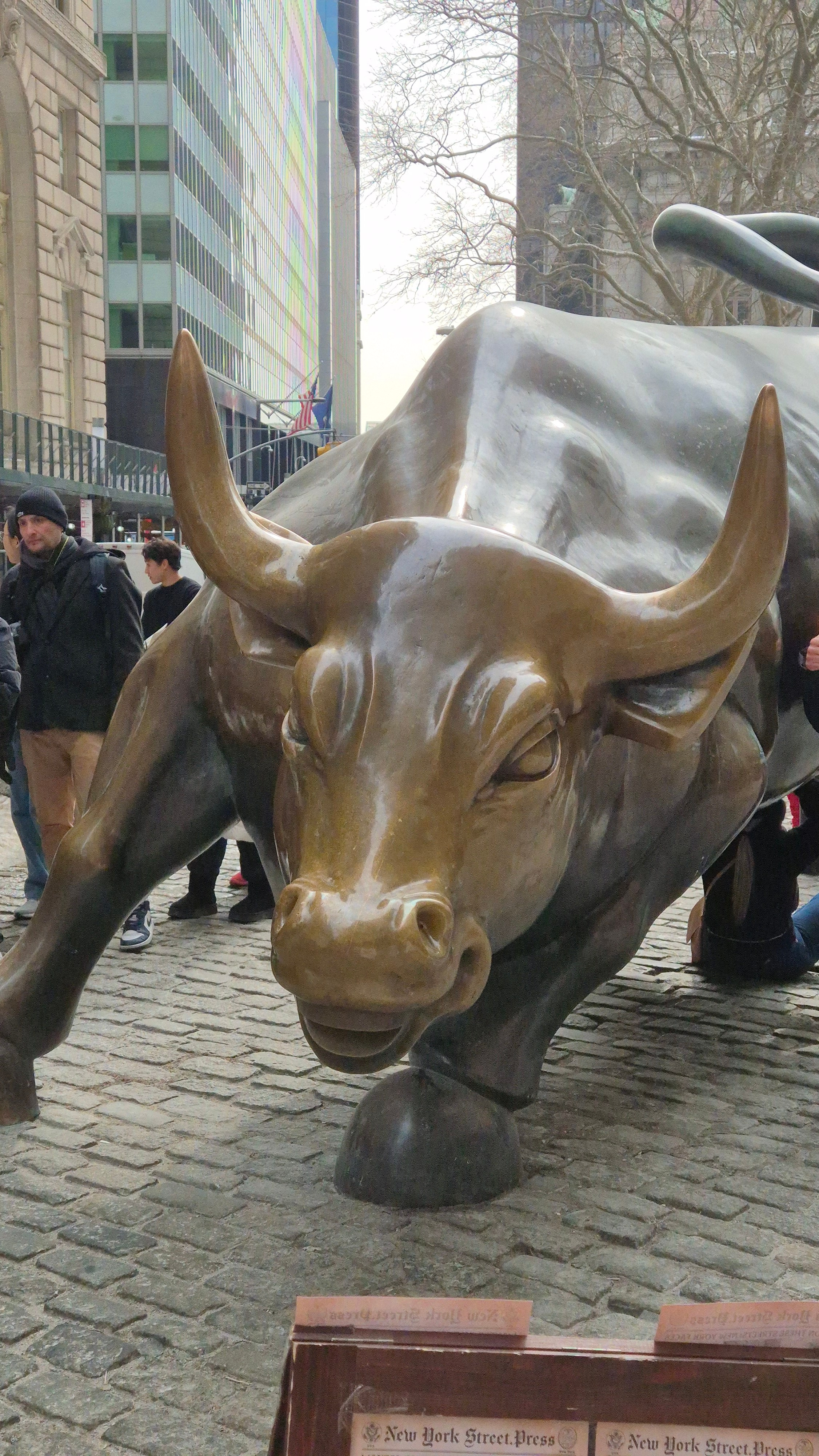 New York 2026. Photographer Marina, city of Nuremberg