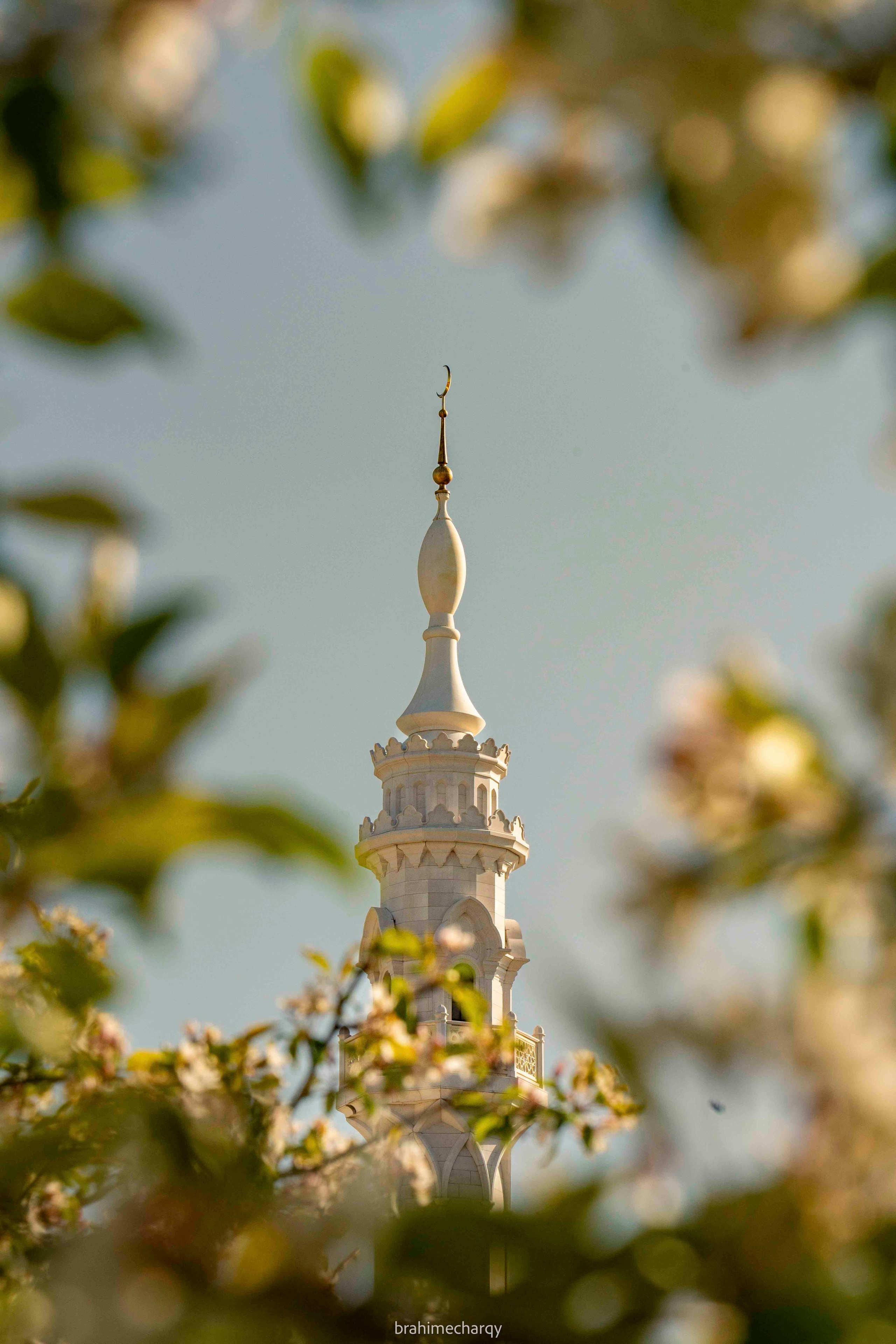 Фото. Брахим — фотограф