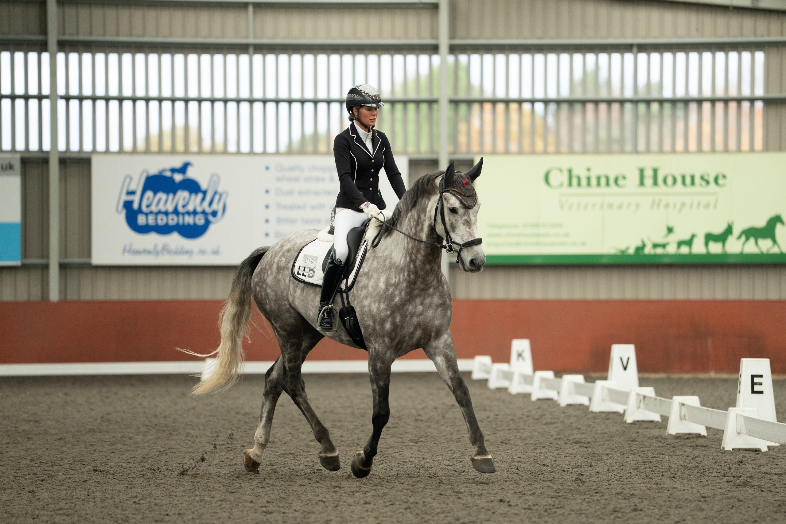 Dressage. Leicestershire Equine Photography by El | Authentic Equine Portraits & Events