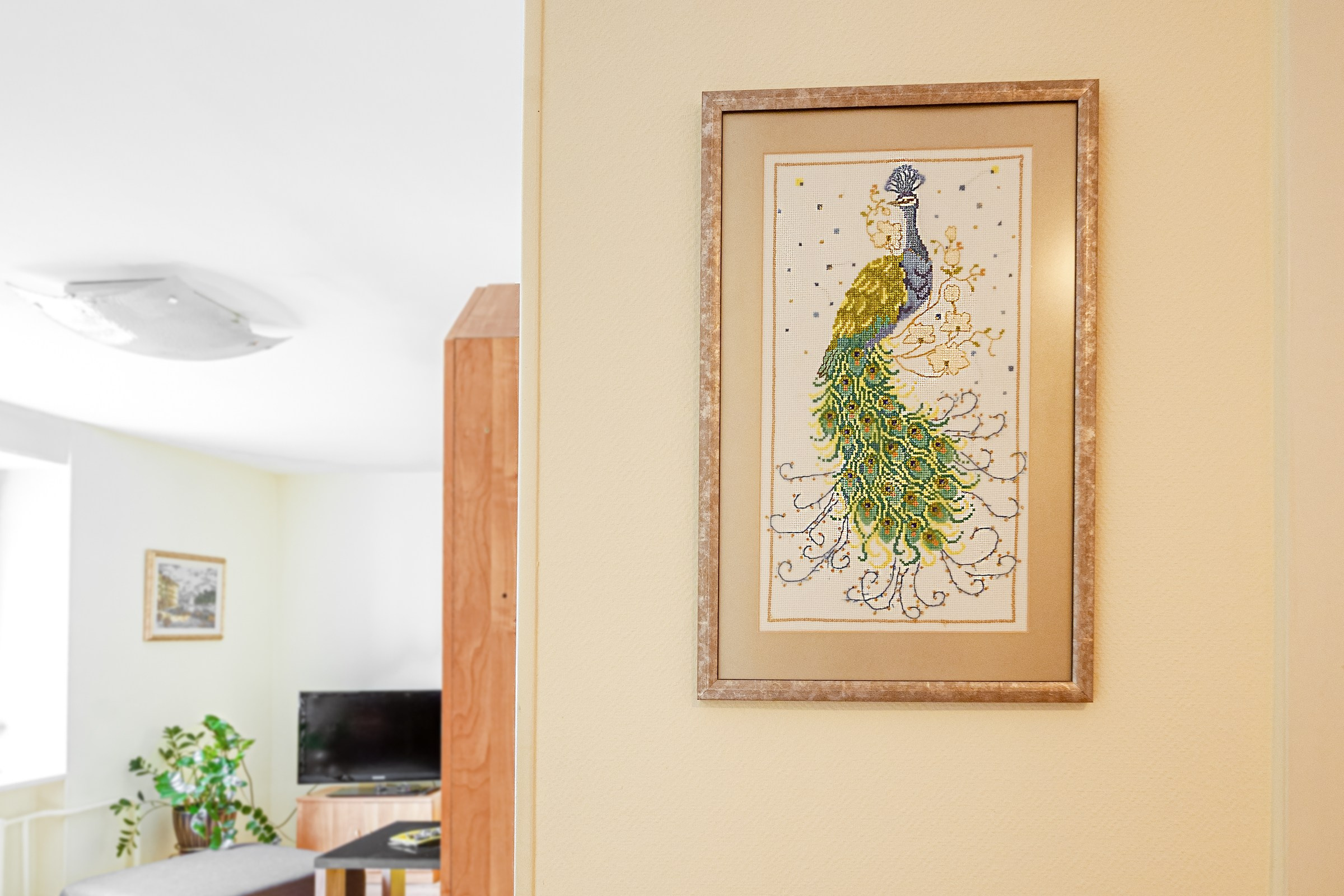 Ateities g. 1. Elina Sapiega fotografė Vilniuje