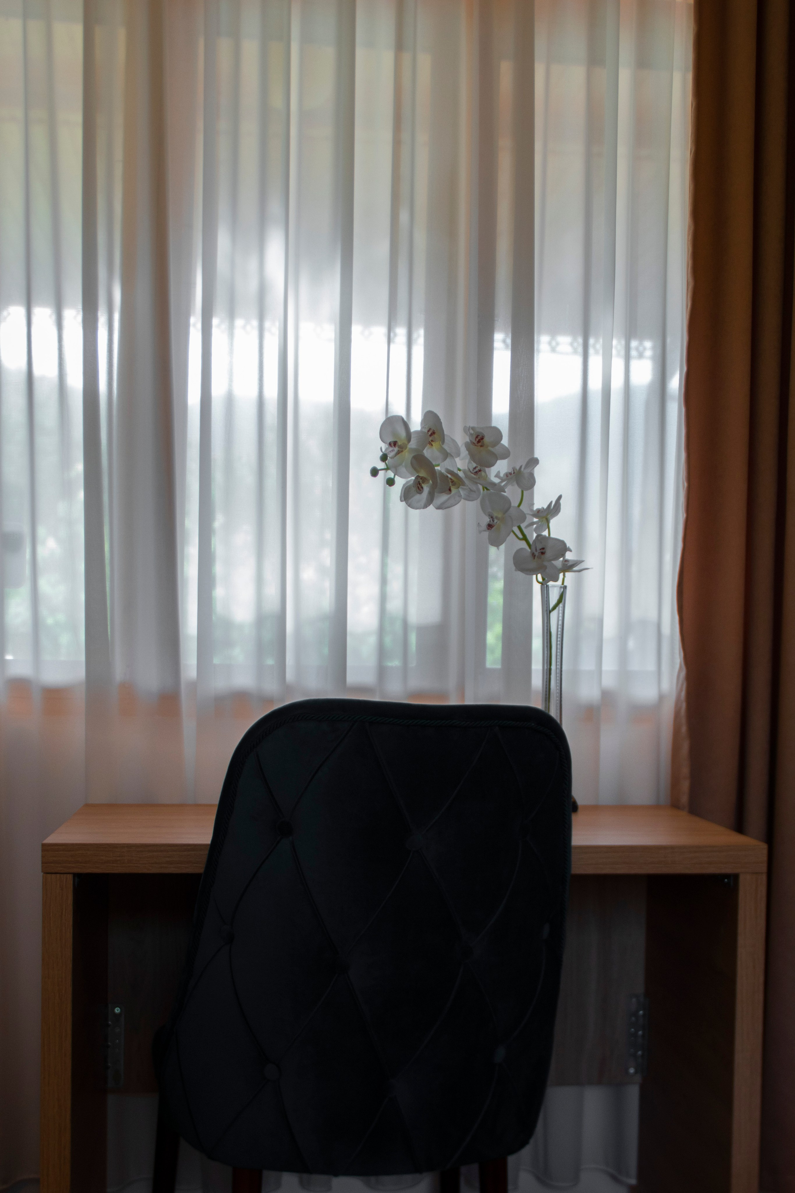 ინტერიერი. Clapp Studio