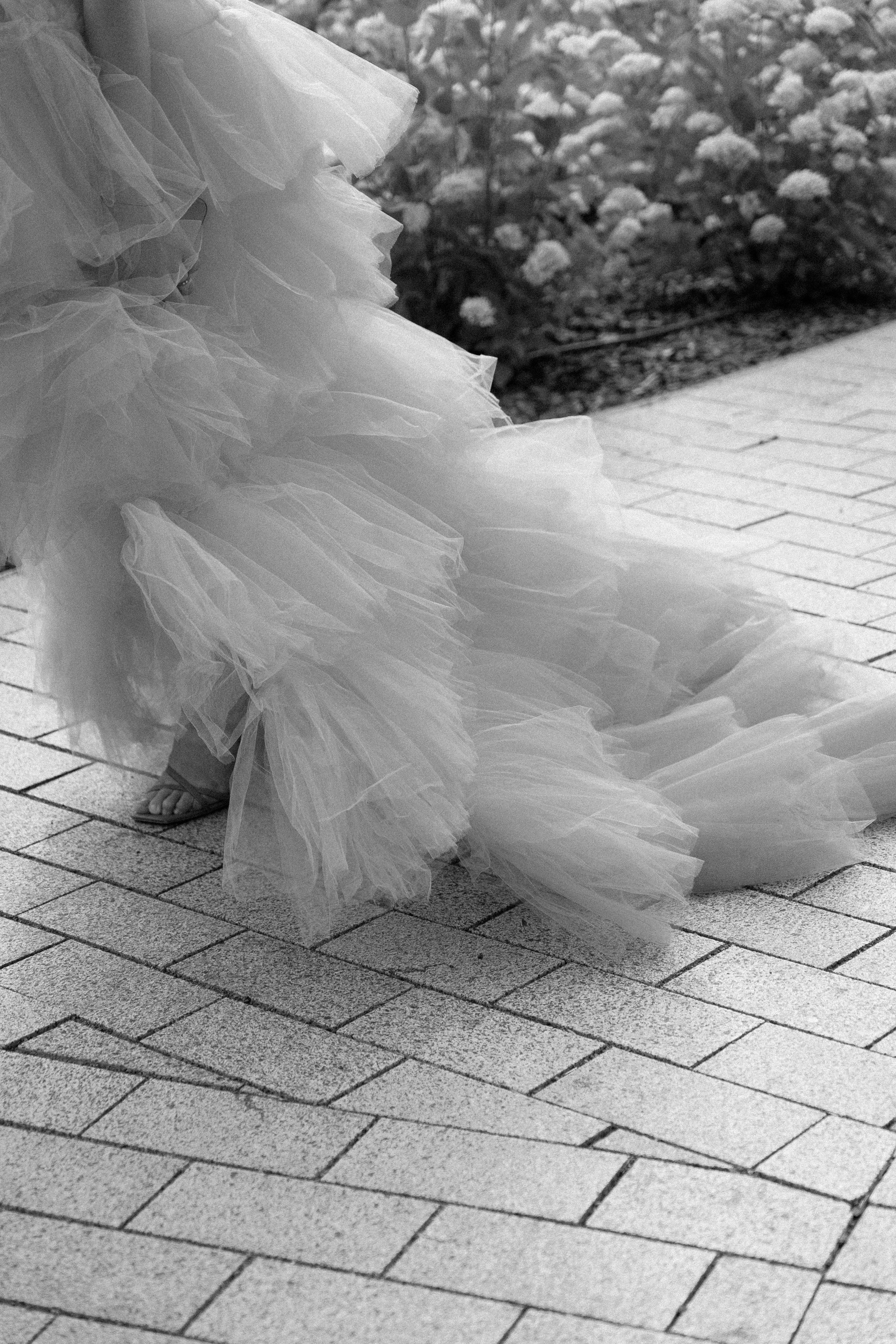 “My Compliments”. Fotografė Agnė Navickaitė