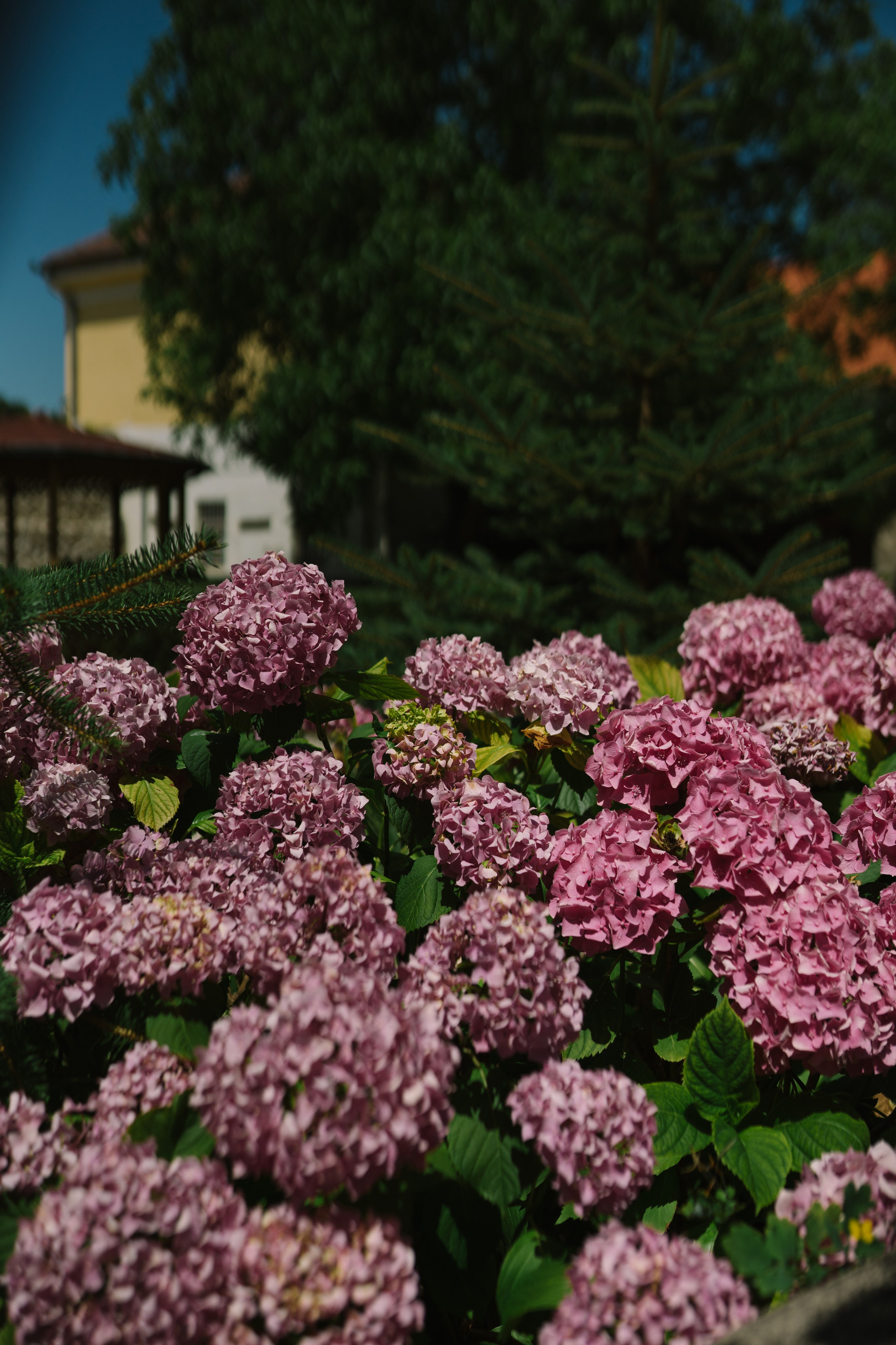 Fotografie de Eveniment Brașov: Povești Vizuale | Mădălina Beda. Madalina Beda- Artist vizual, fotograf, doula la nastere, consultant babywearing Brasov si in toata tara